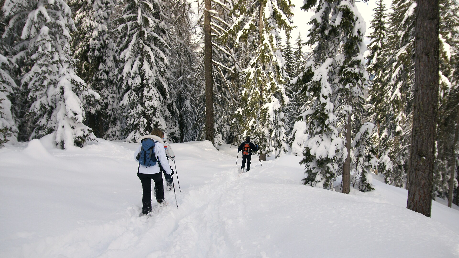 Escursioni con racchette da neve