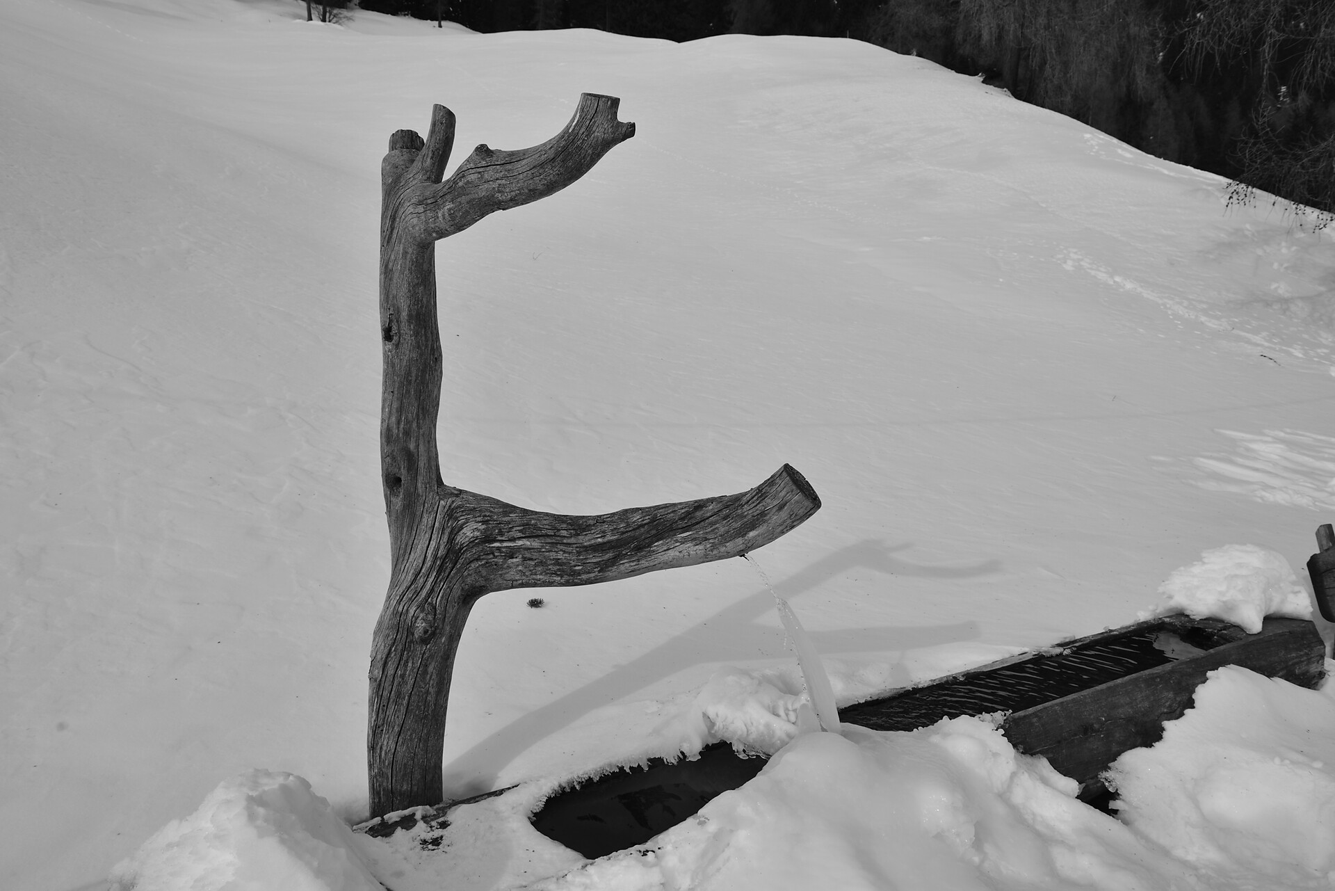 invernale