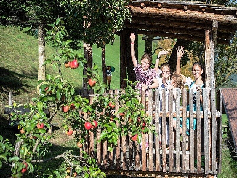 Grüße aus der Baumhausalm