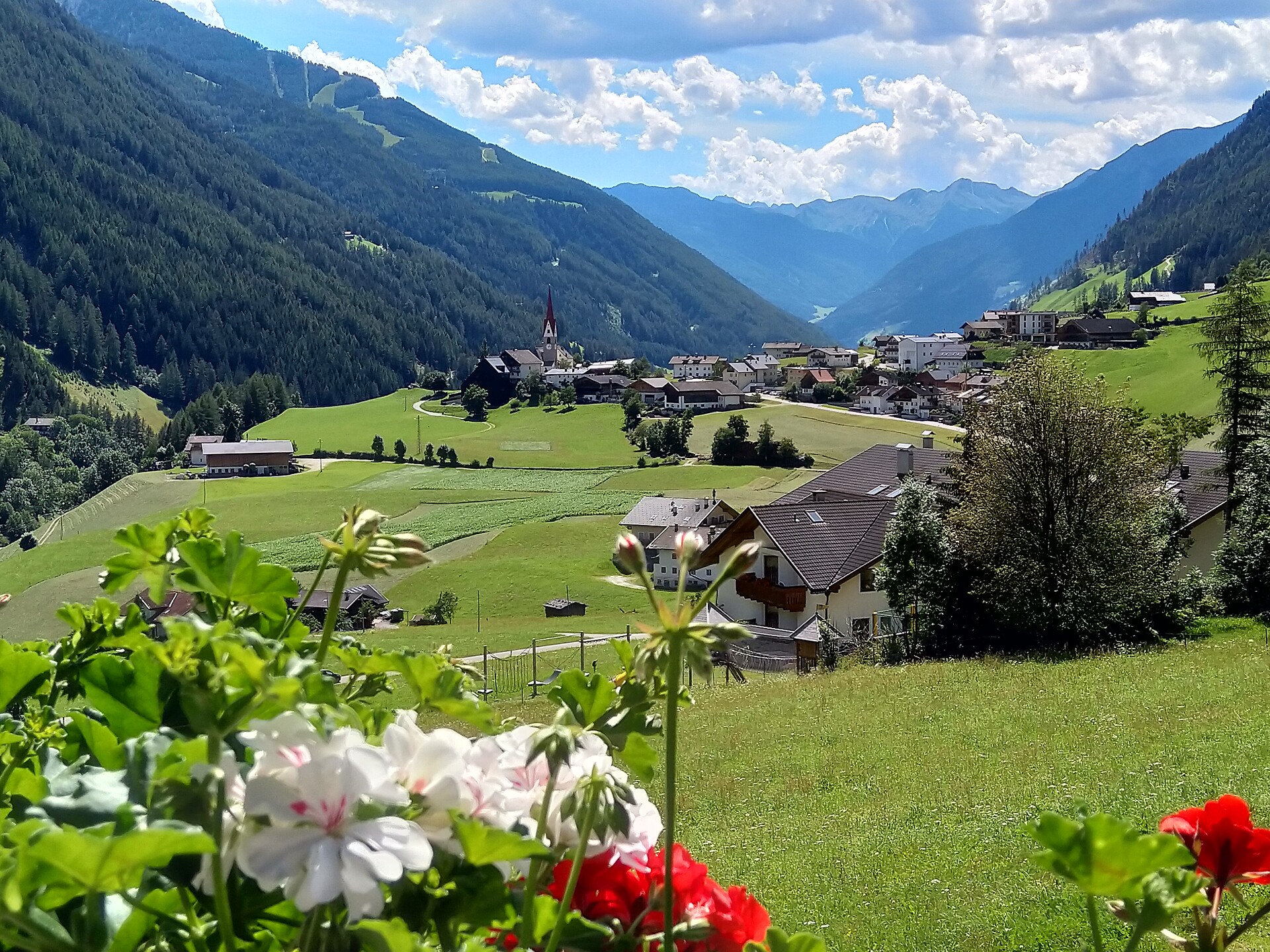 Aussicht Hof Sommer