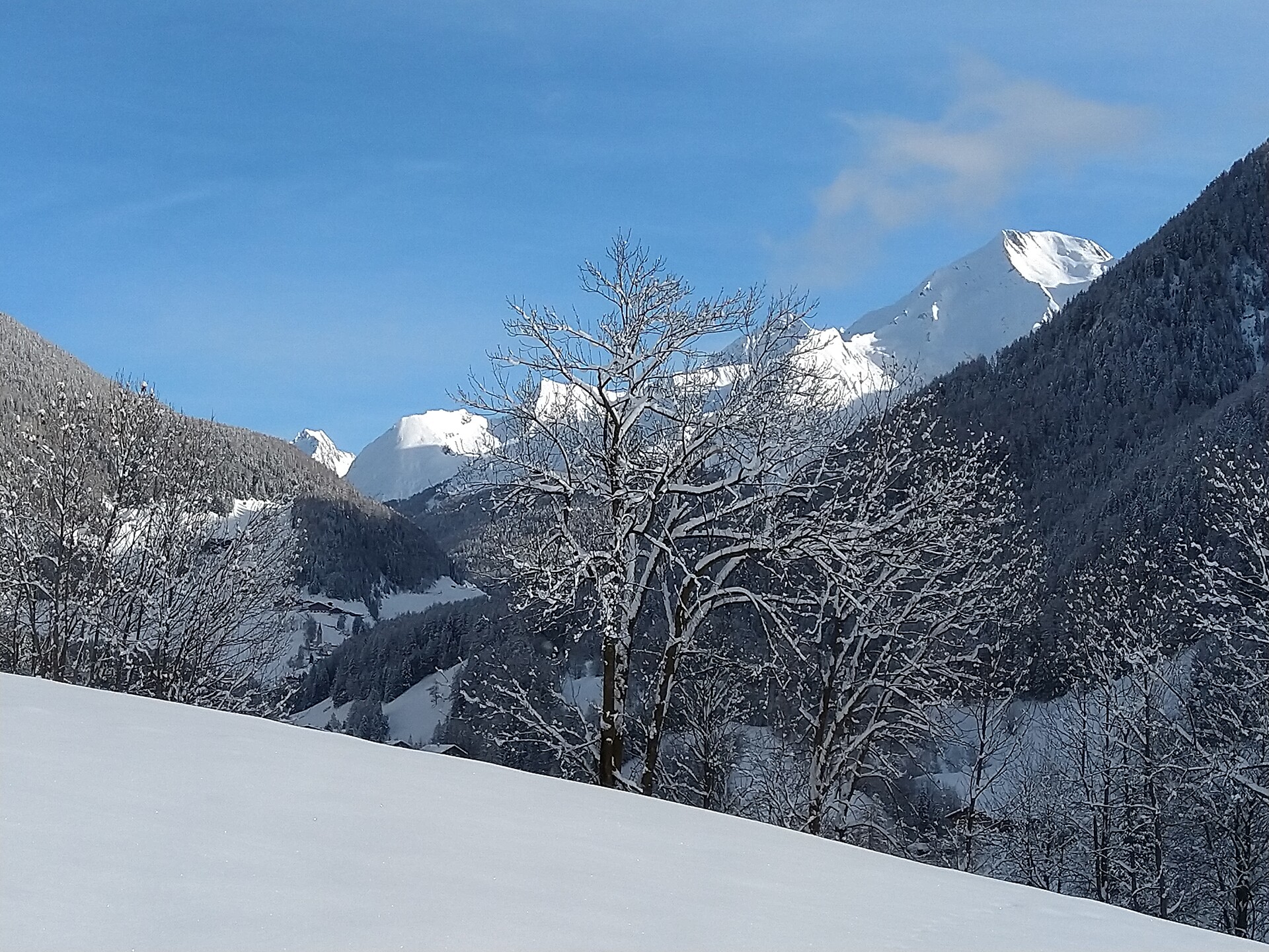 Aussicht Ostseite
