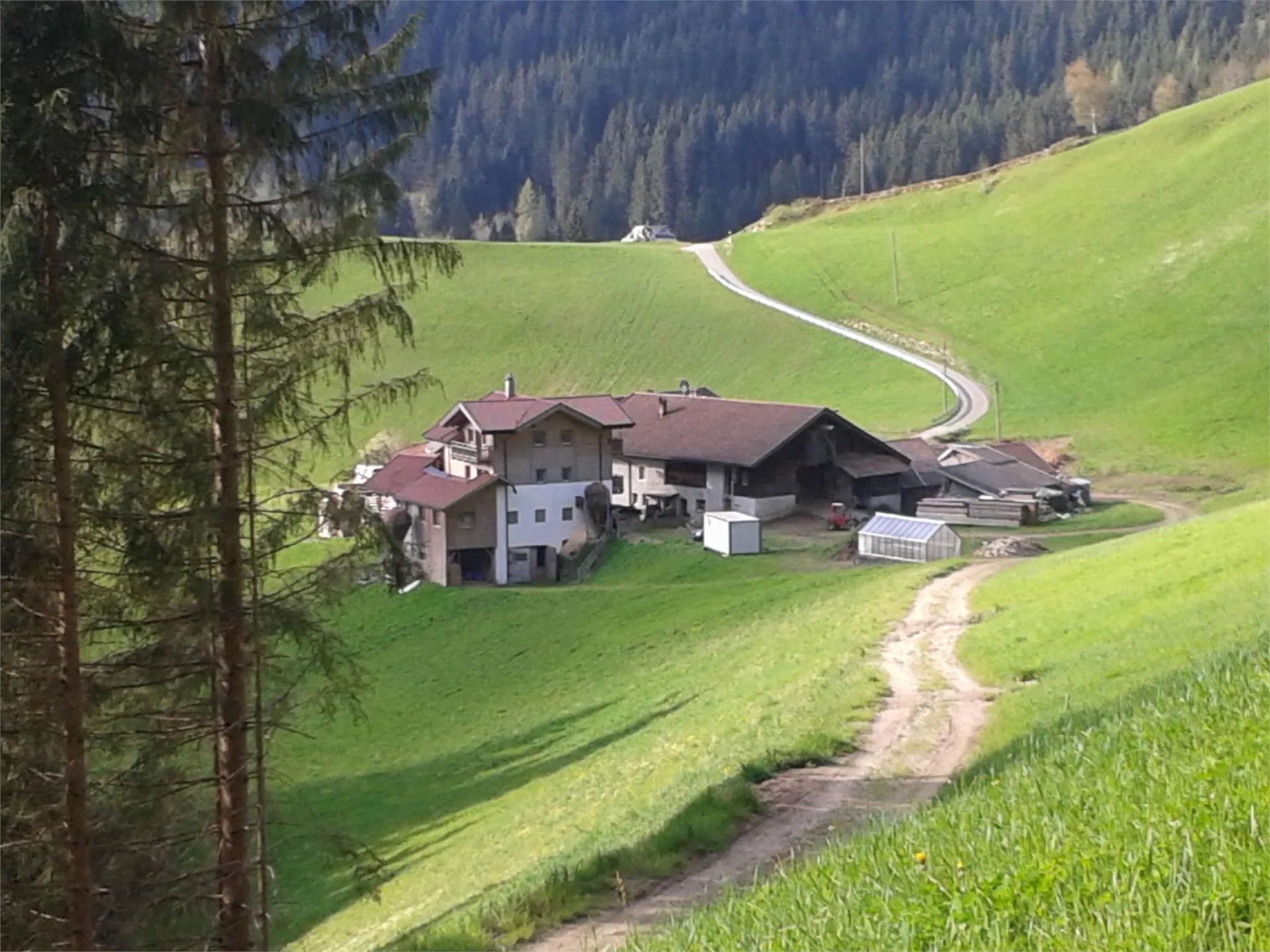 Obergruberhof Ratschings/Racines 2 suedtirol.info