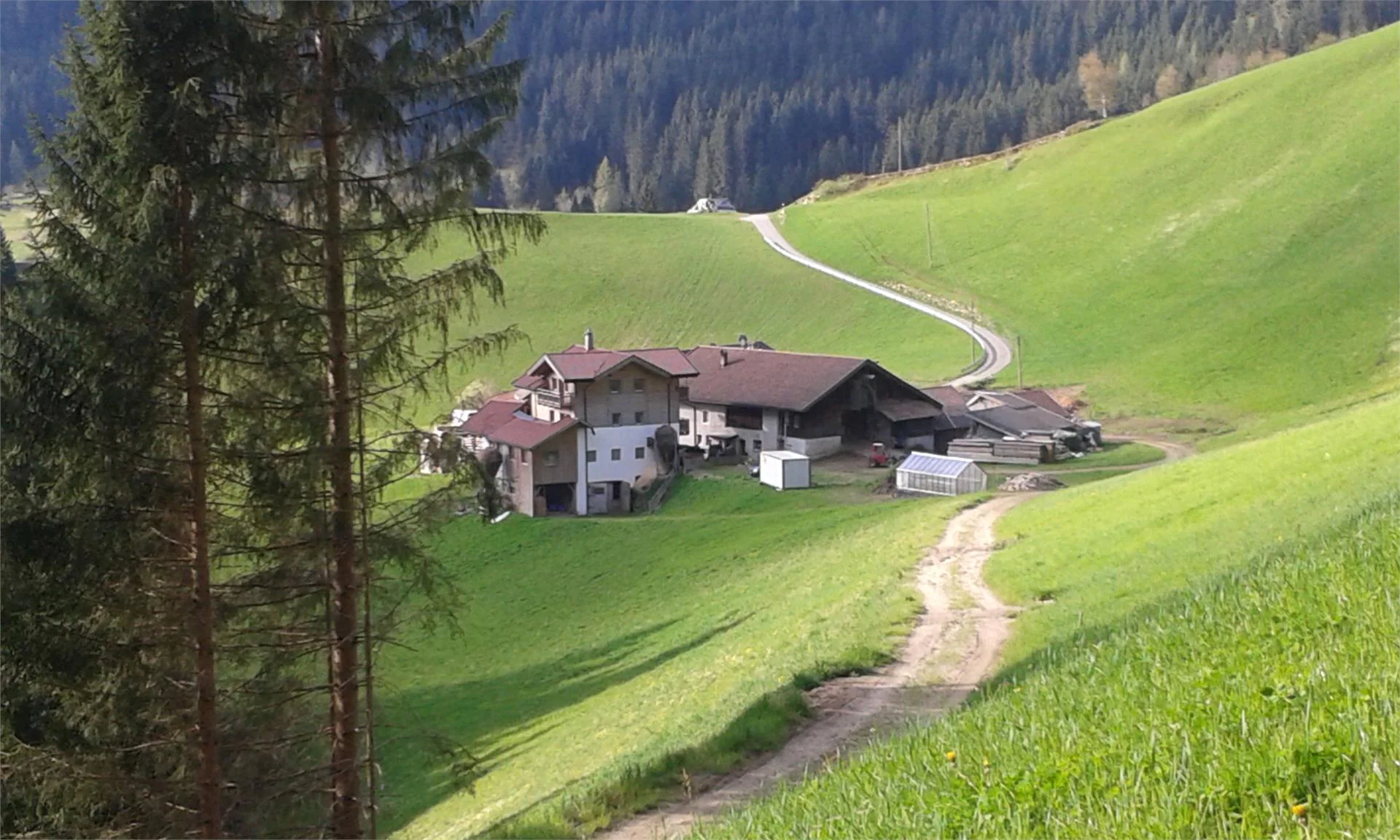Obergruberhof Ratschings/Racines 3 suedtirol.info