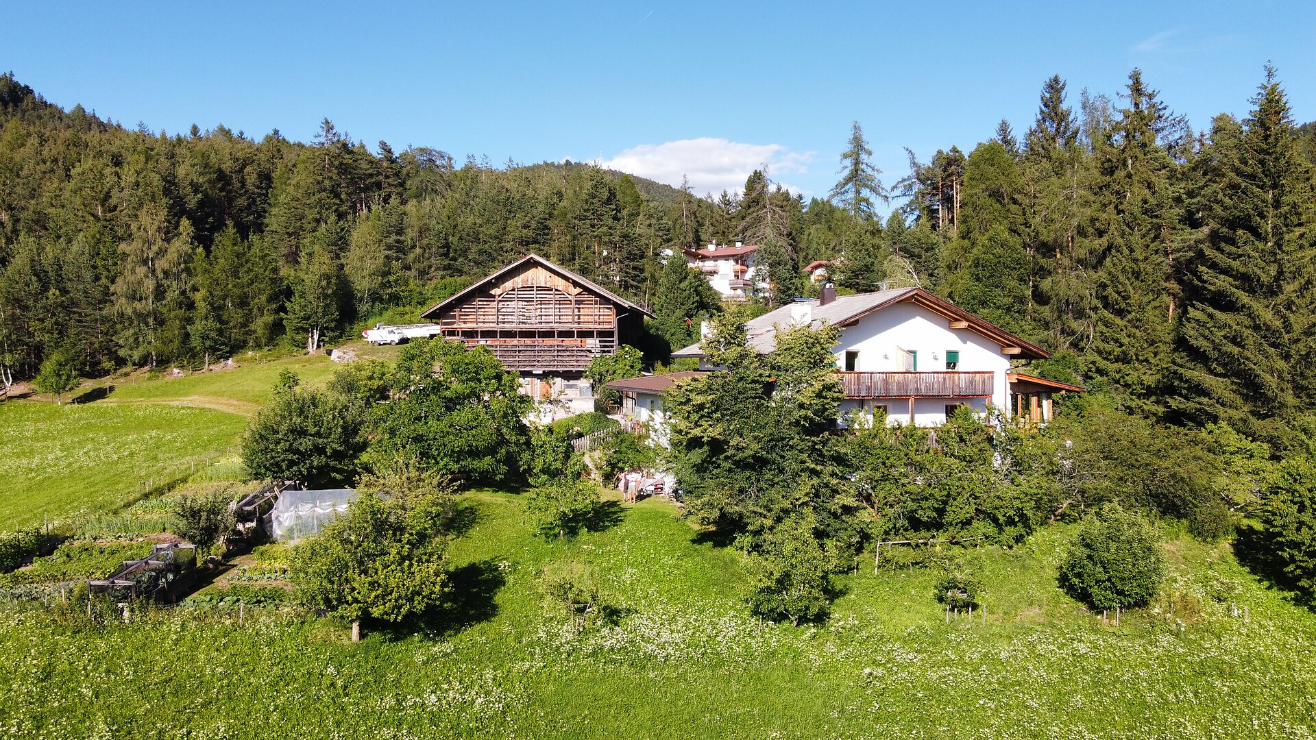 Hofstelle