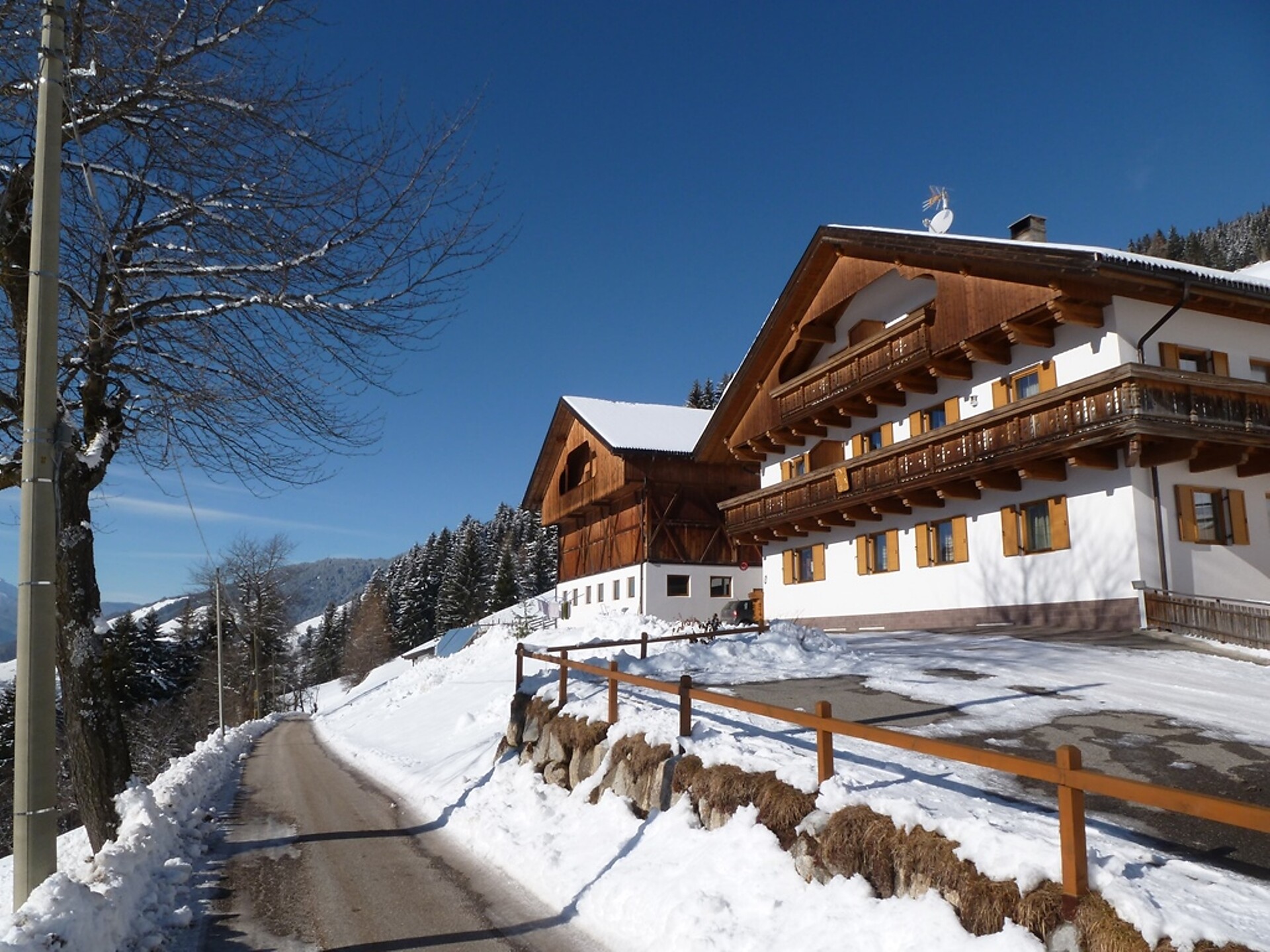Oberpapping Winter