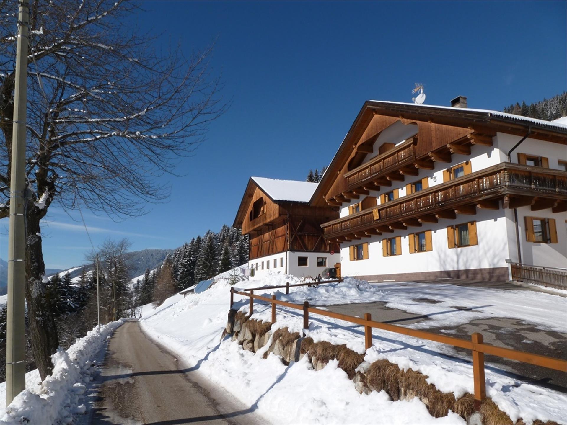 Oberpapping San Candido 3 suedtirol.info