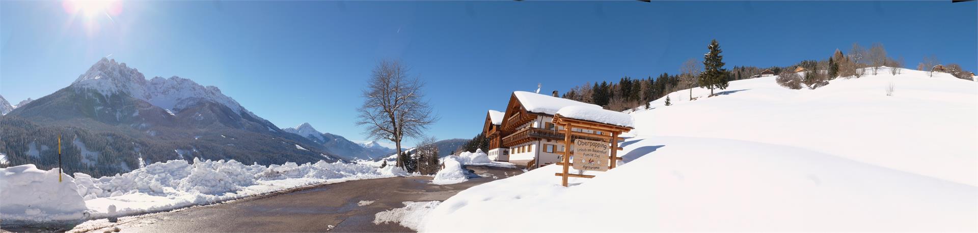 Oberpapping San Candido 14 suedtirol.info