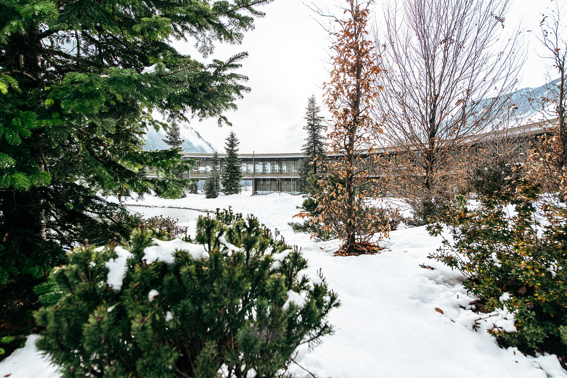 OLM Nature Escape/Konistudios