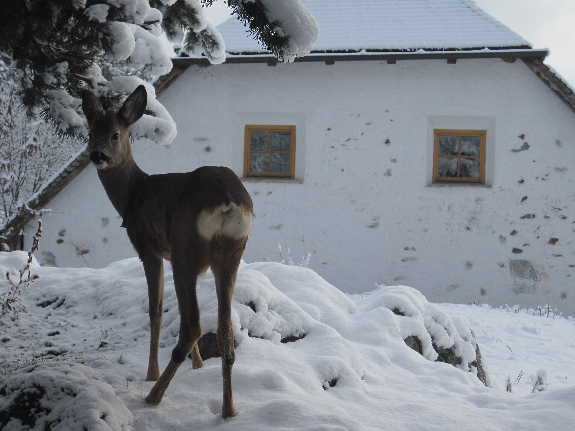 Oberwieserhof