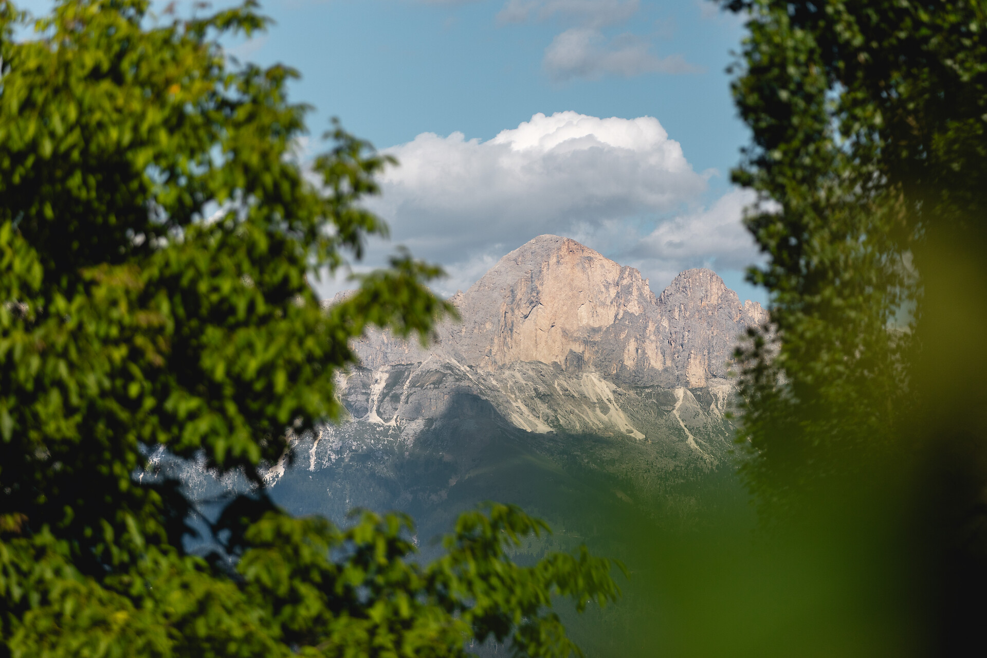 Oberranhof Farm - Dolomites Region Eggental - #3 - suedtirol.info