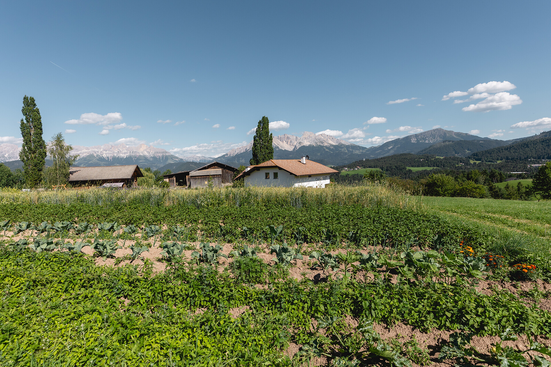 Oberranhof Farm - Dolomites Region Eggental - #11 - suedtirol.info