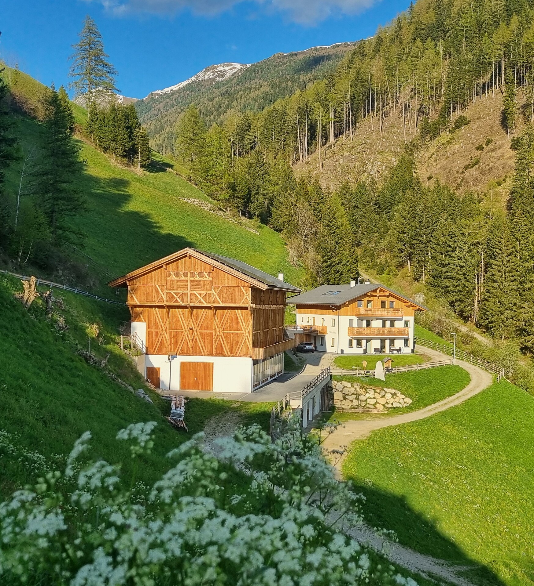 Oberbacherhof - Regione dolomitica Plan de Corones - #2 - suedtirol.info