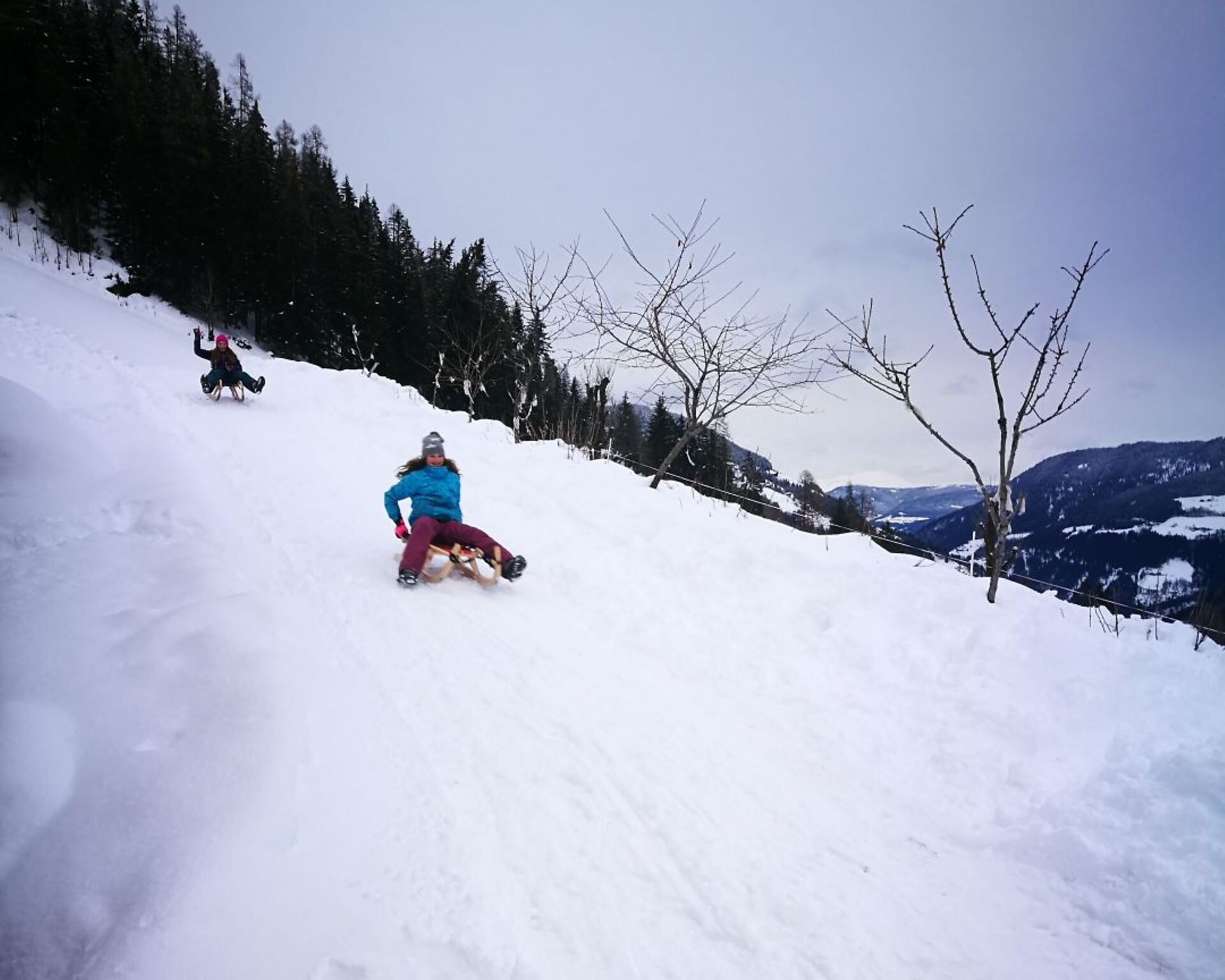 Winter