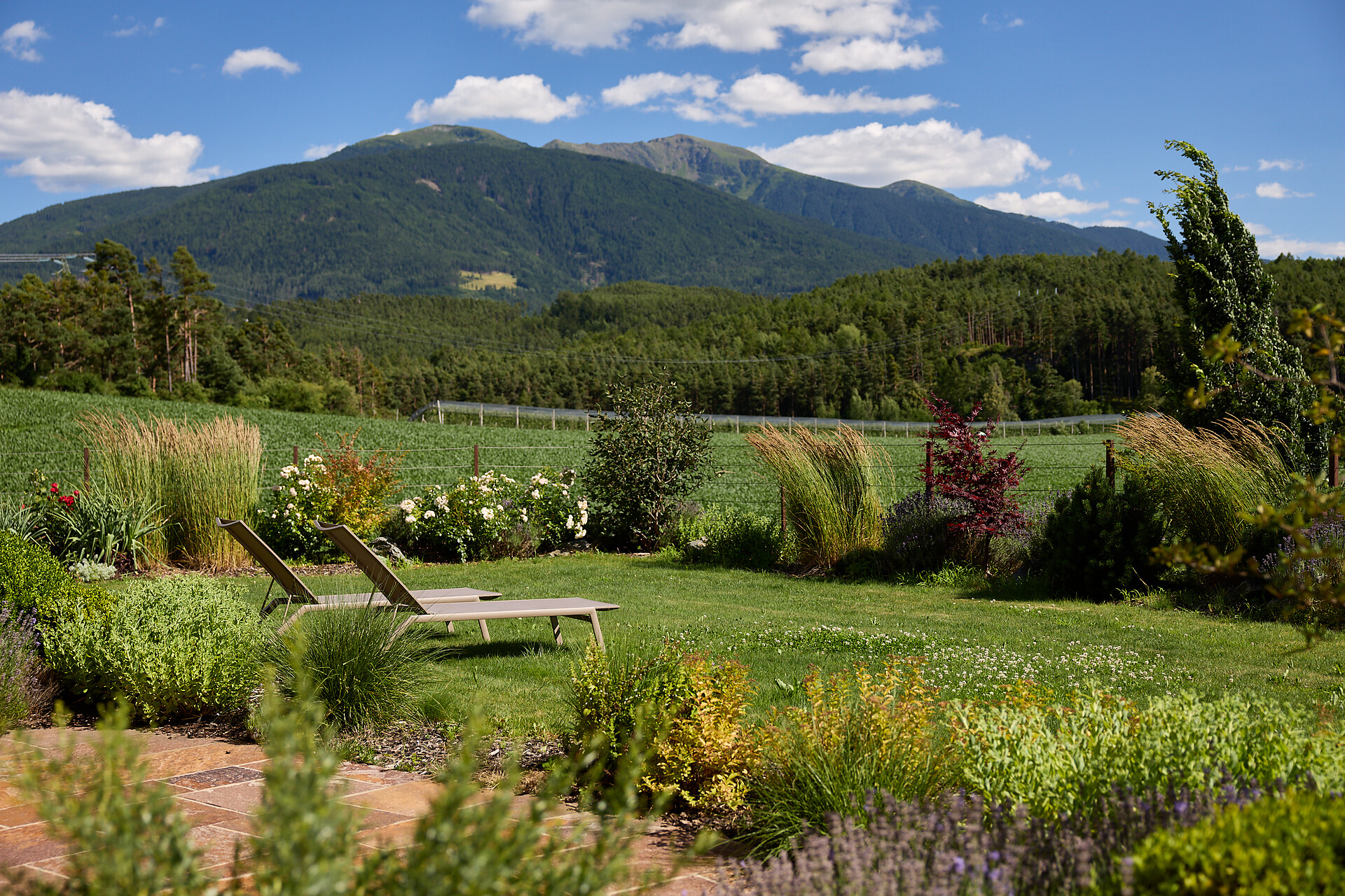 Obsthof Moser - Brixen/Bressanone and environs - #8 - suedtirol.info