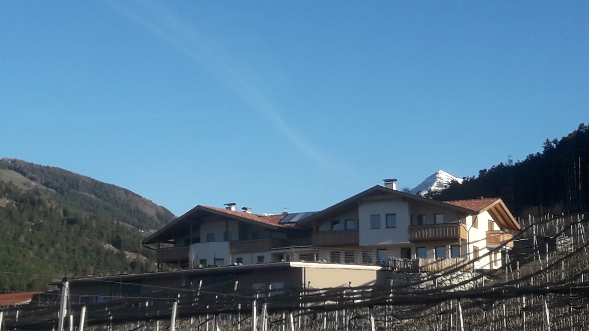 Obsthof Moser - Brixen/Bressanone and environs - #2 - suedtirol.info