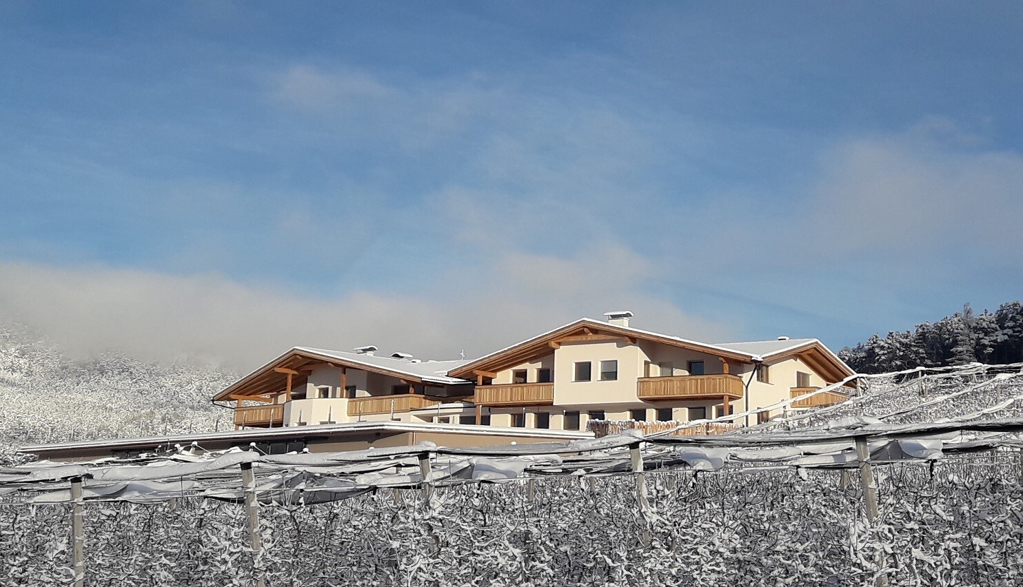 Obsthof Moser - Brixen/Bressanone and environs - #4 - suedtirol.info