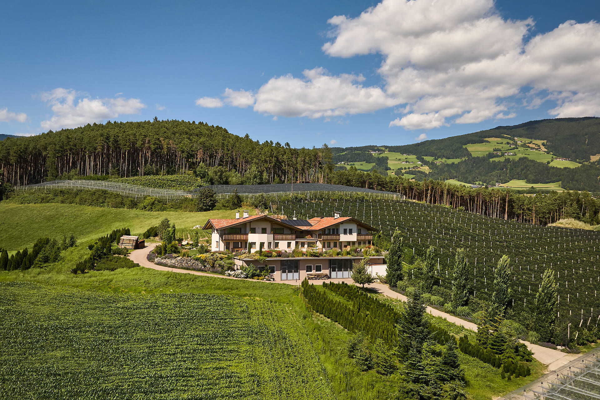 Obsthof Moser - Brixen/Bressanone and environs - #5 - suedtirol.info