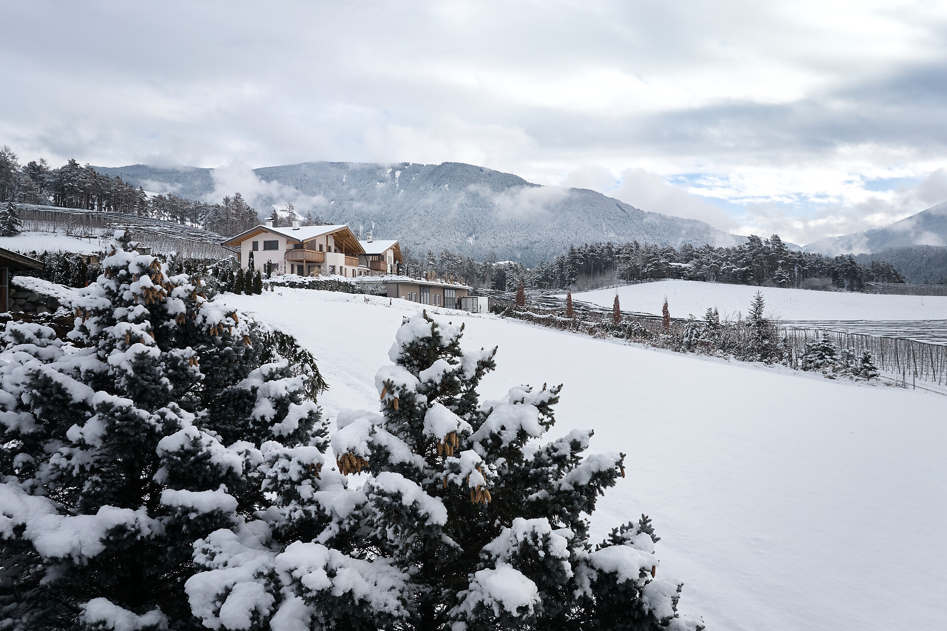 Obsthof Moser - Brixen/Bressanone and environs - #11 - suedtirol.info