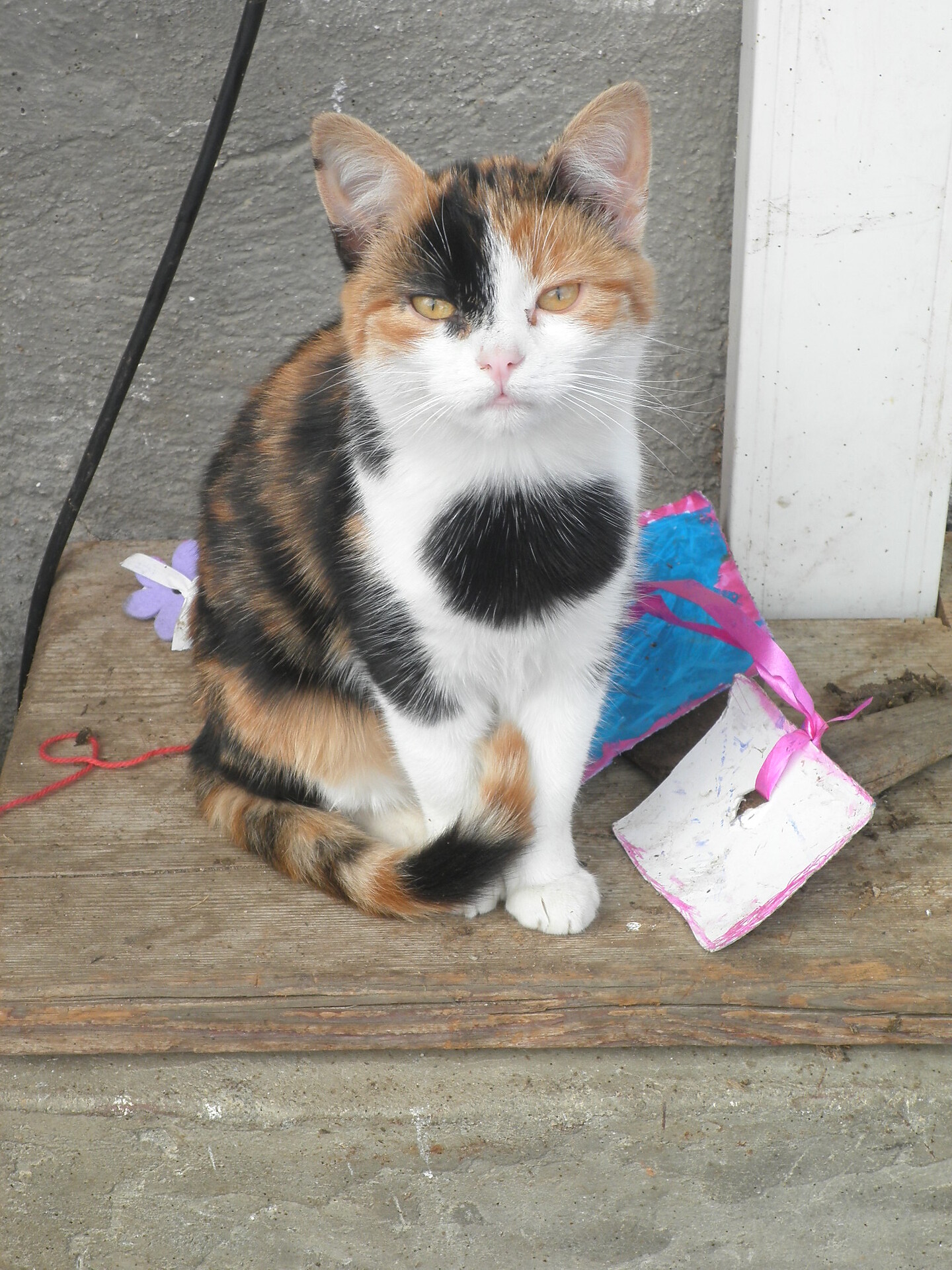 Unsere Tiere