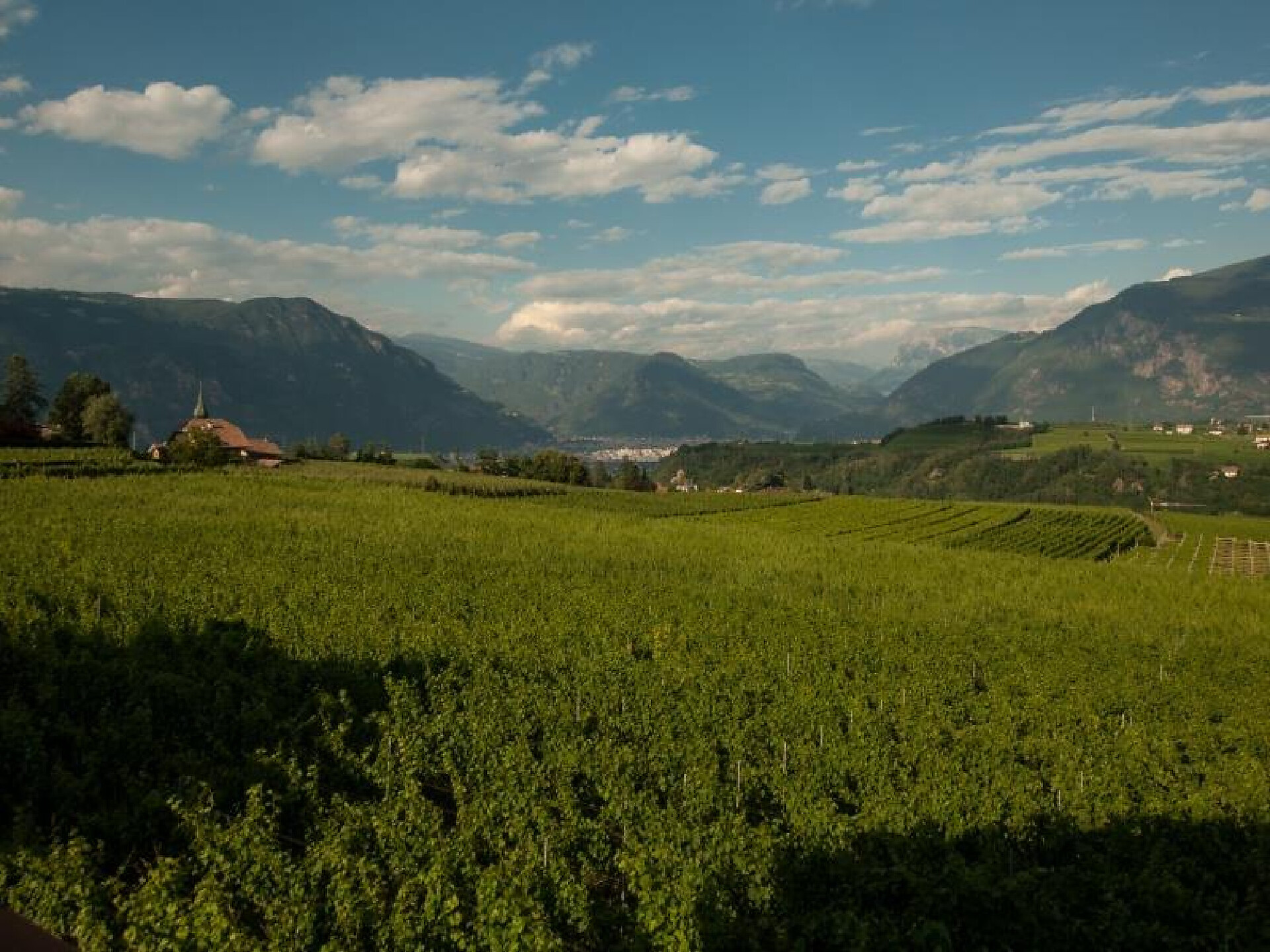 Panorama