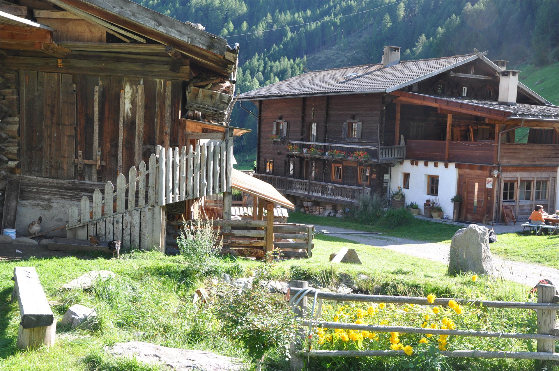 Oberniederhof Schnals/Senales 3 suedtirol.info