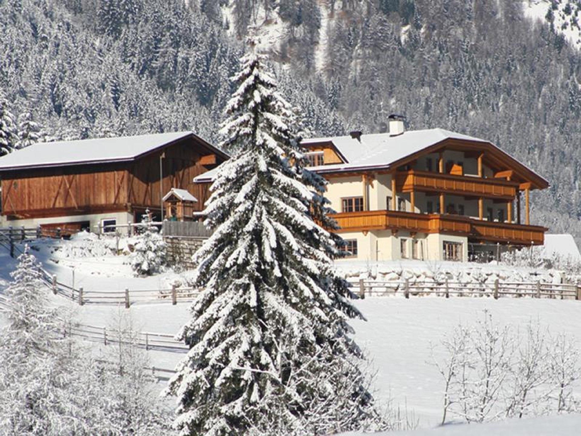 Obereggerhof Mühlbach 27 suedtirol.info