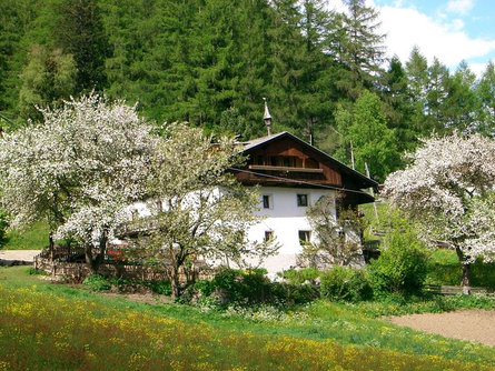 Oberlinderhof Ahrntal/Valle Aurina 2 suedtirol.info