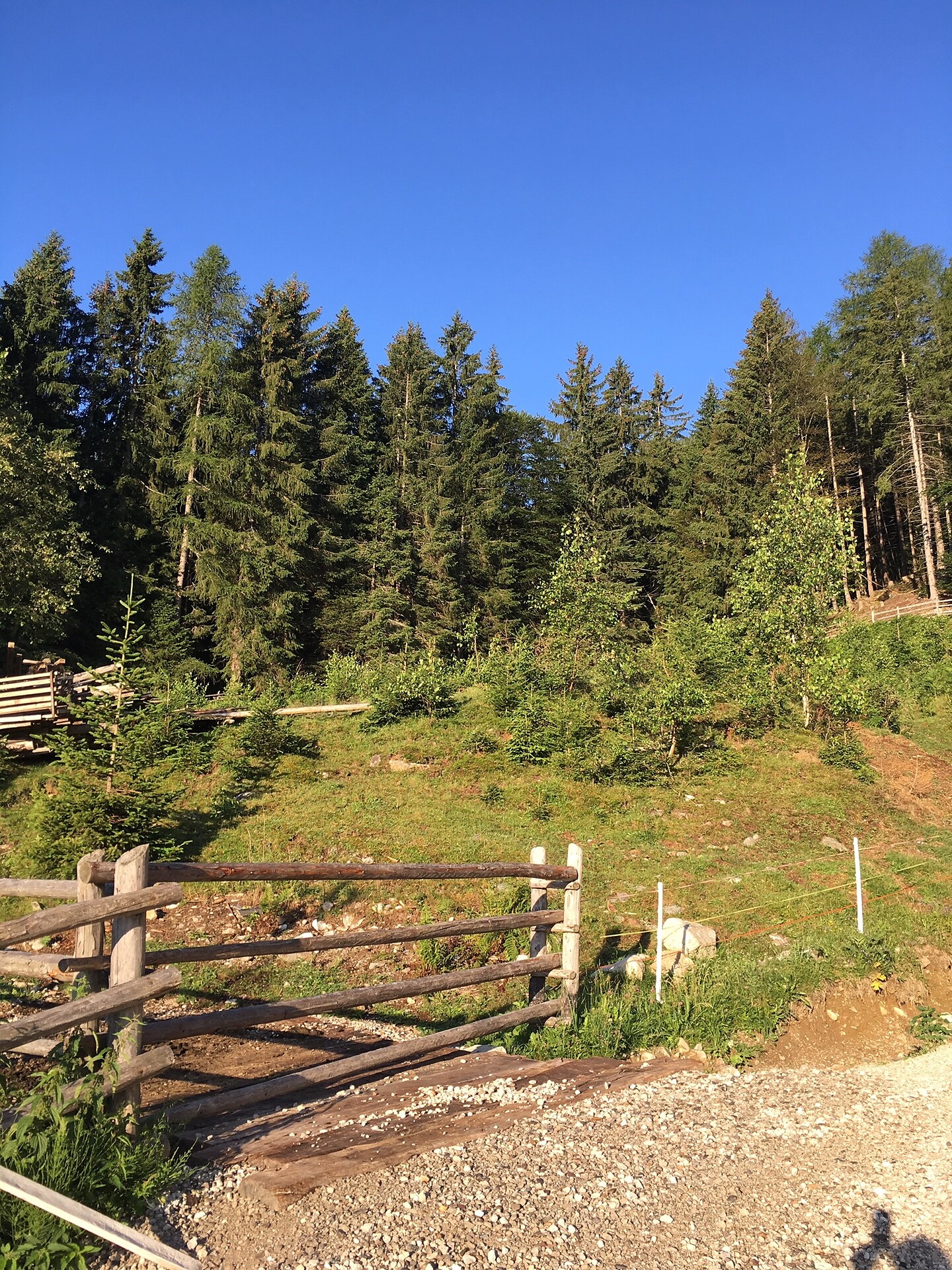 Oberprünst Hof Tisens 6 suedtirol.info