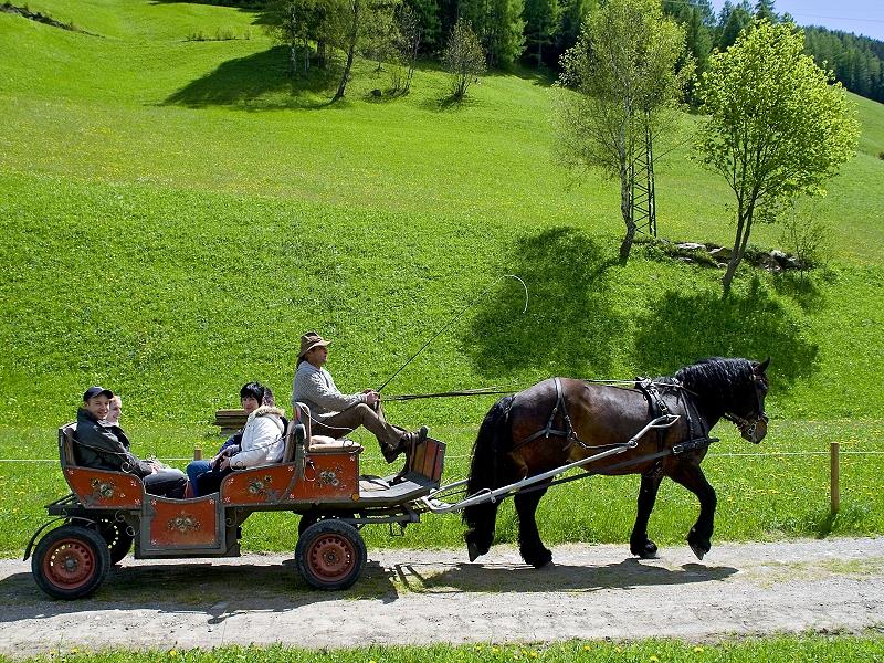 Obergruberhof Ahrntal 2 suedtirol.info