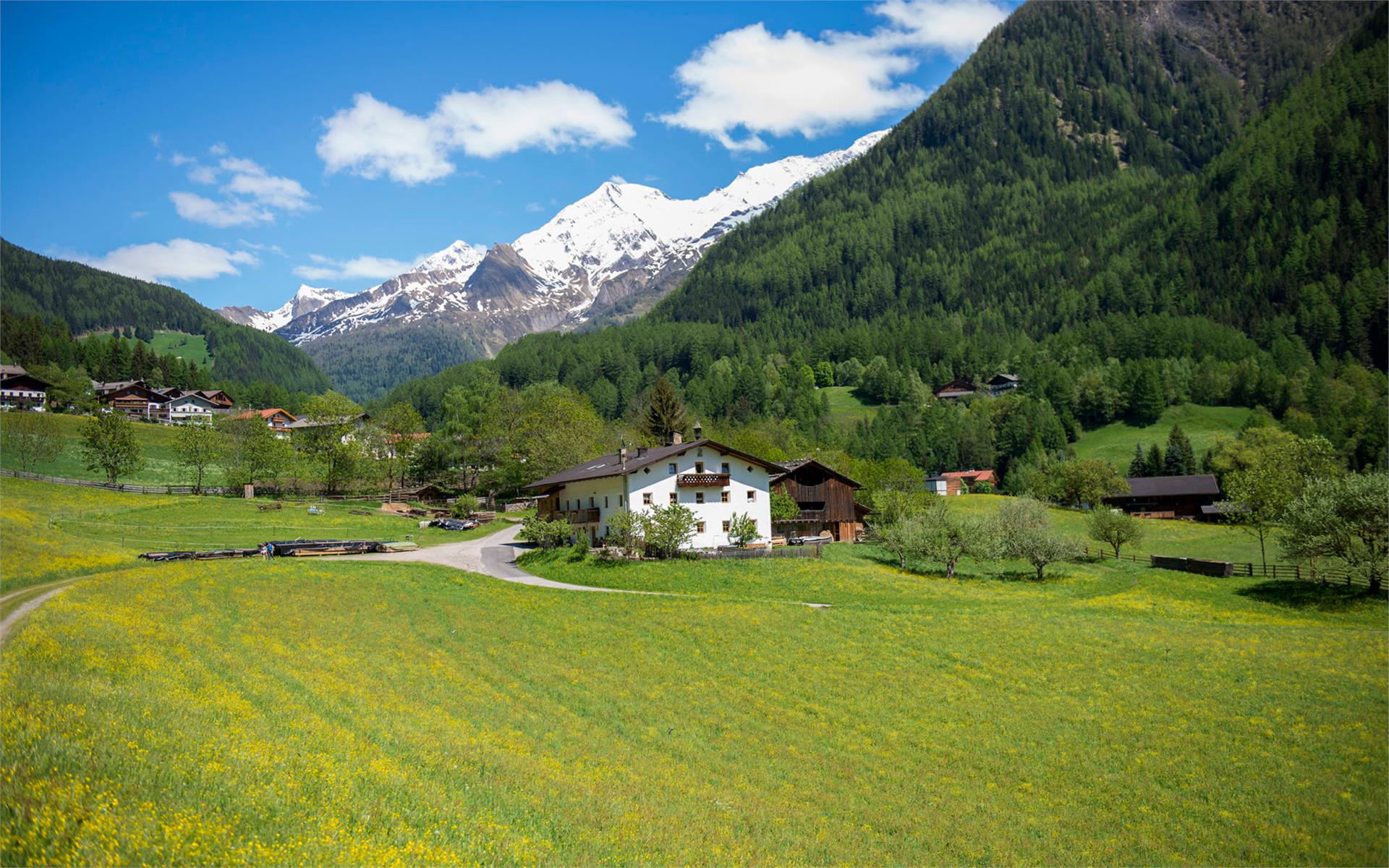 Obergruberhof Ahrntal 1 suedtirol.info