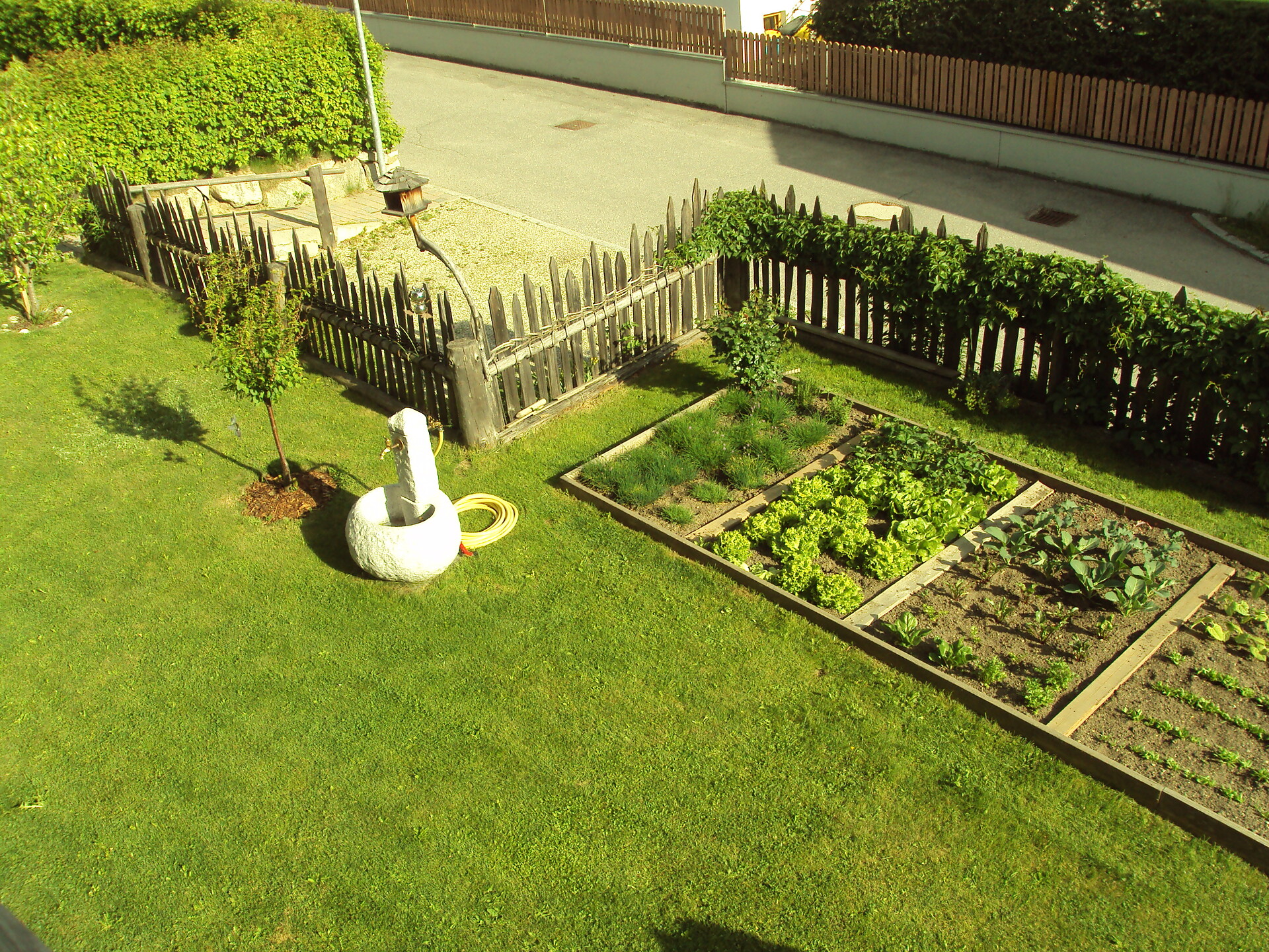 Giardino