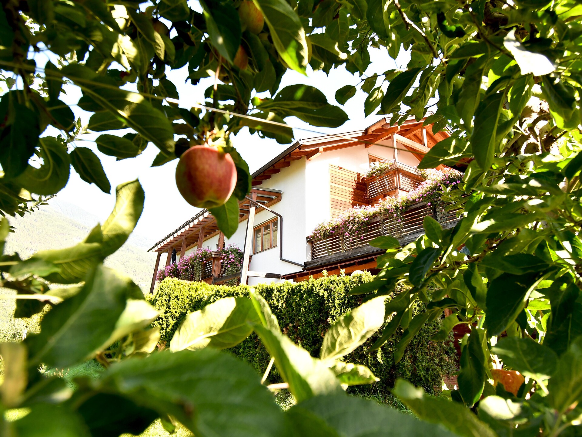 Obermoarhof