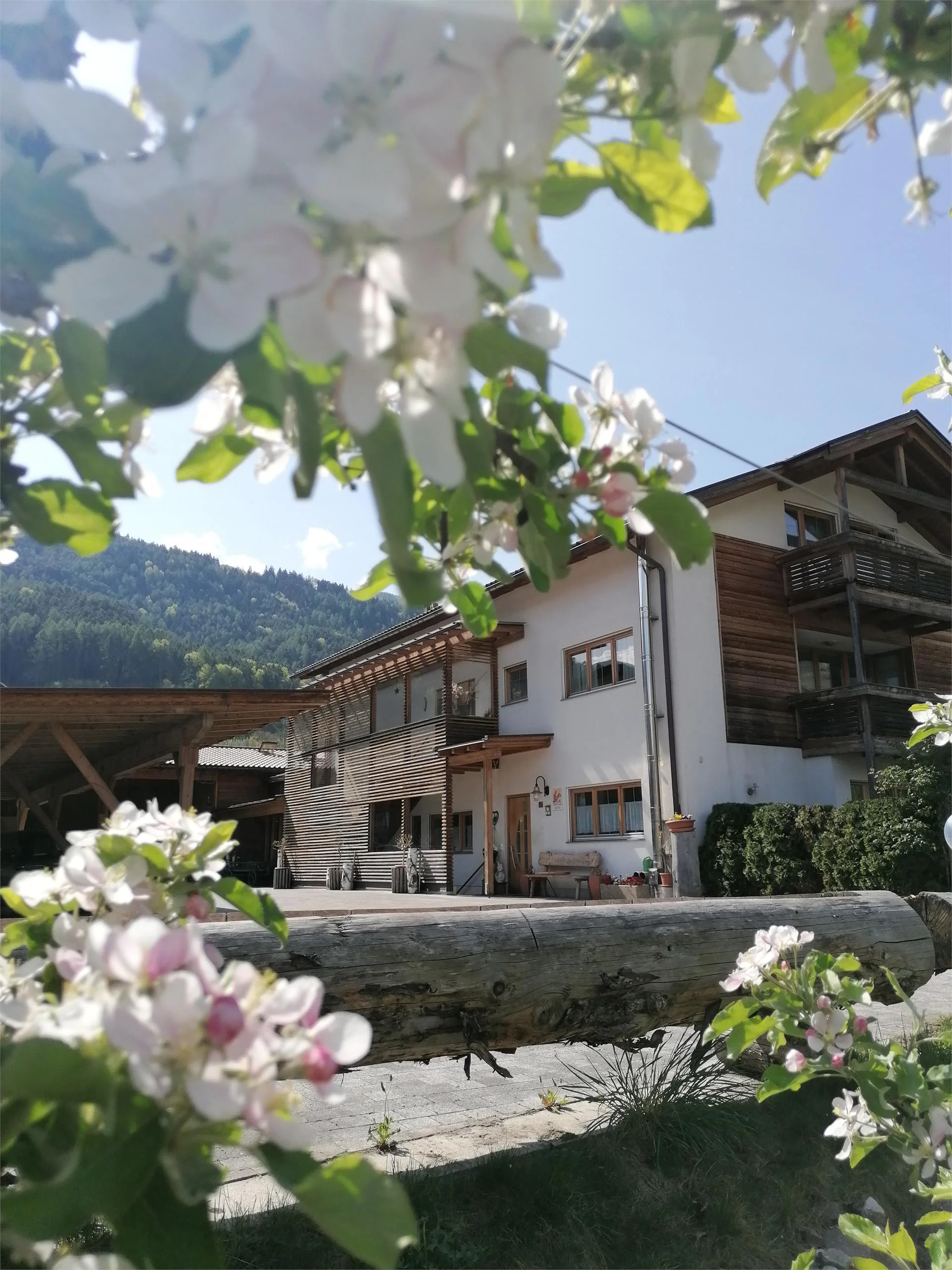 Obermoarhof Brixen/Bressanone 14 suedtirol.info