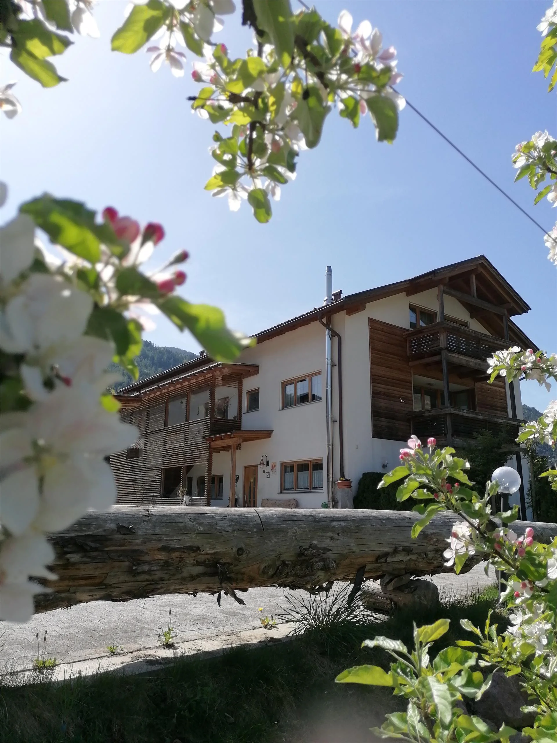 Obermoarhof Brixen/Bressanone 1 suedtirol.info