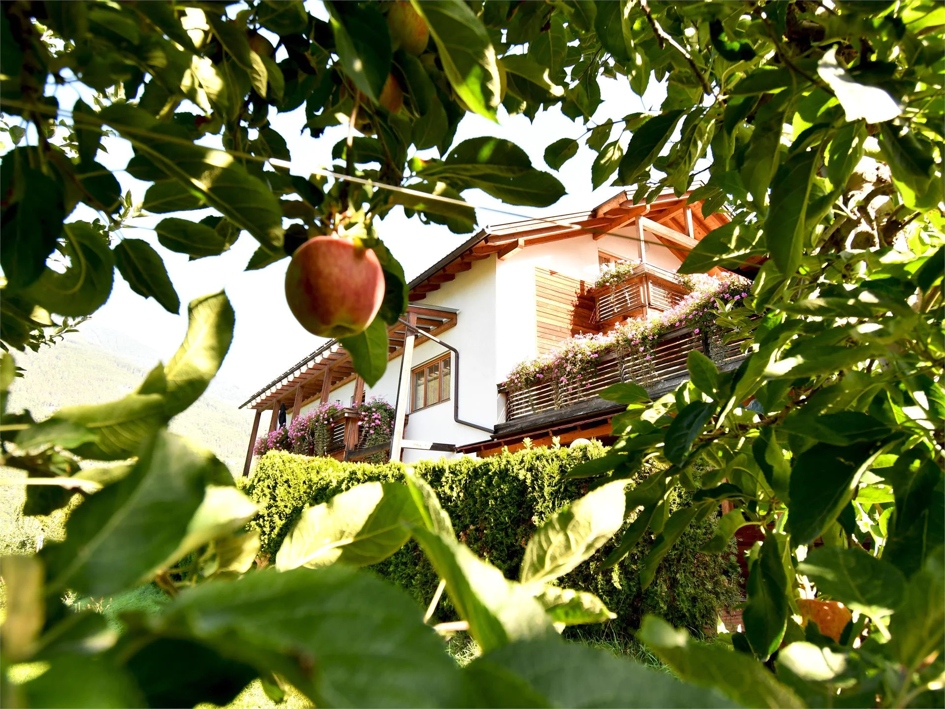 Obermoarhof Brixen/Bressanone 2 suedtirol.info
