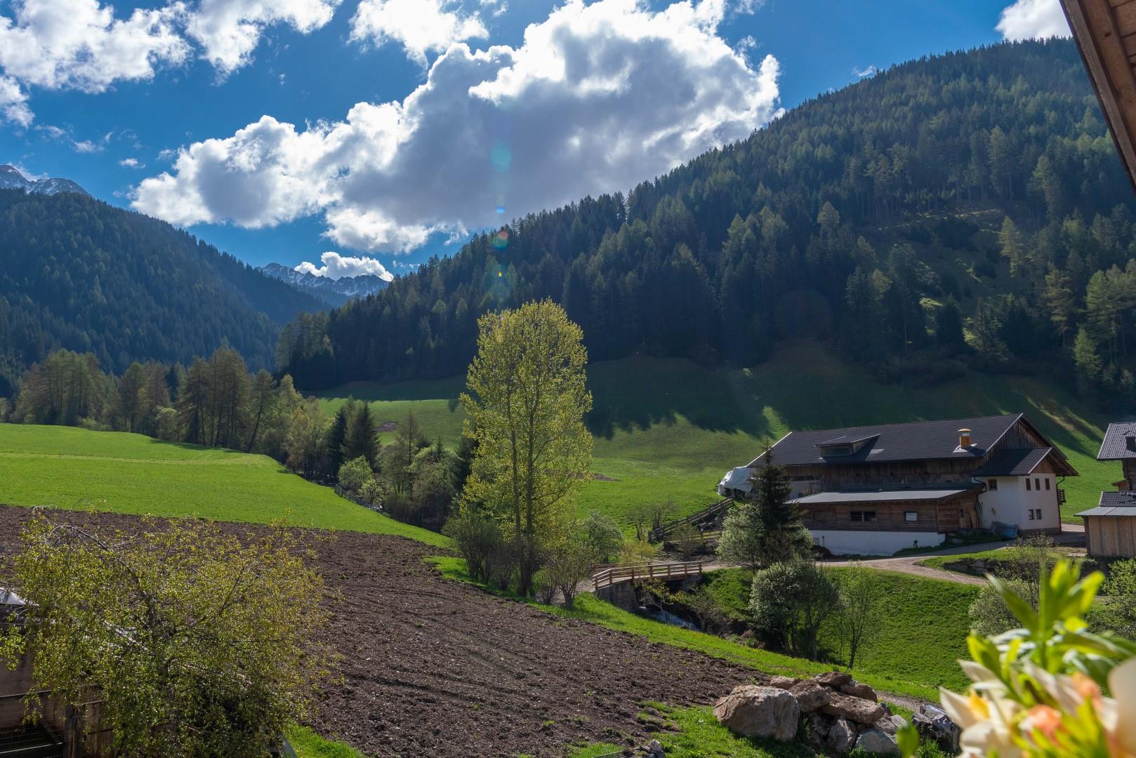 Oberhabererhof Gsies 11 suedtirol.info