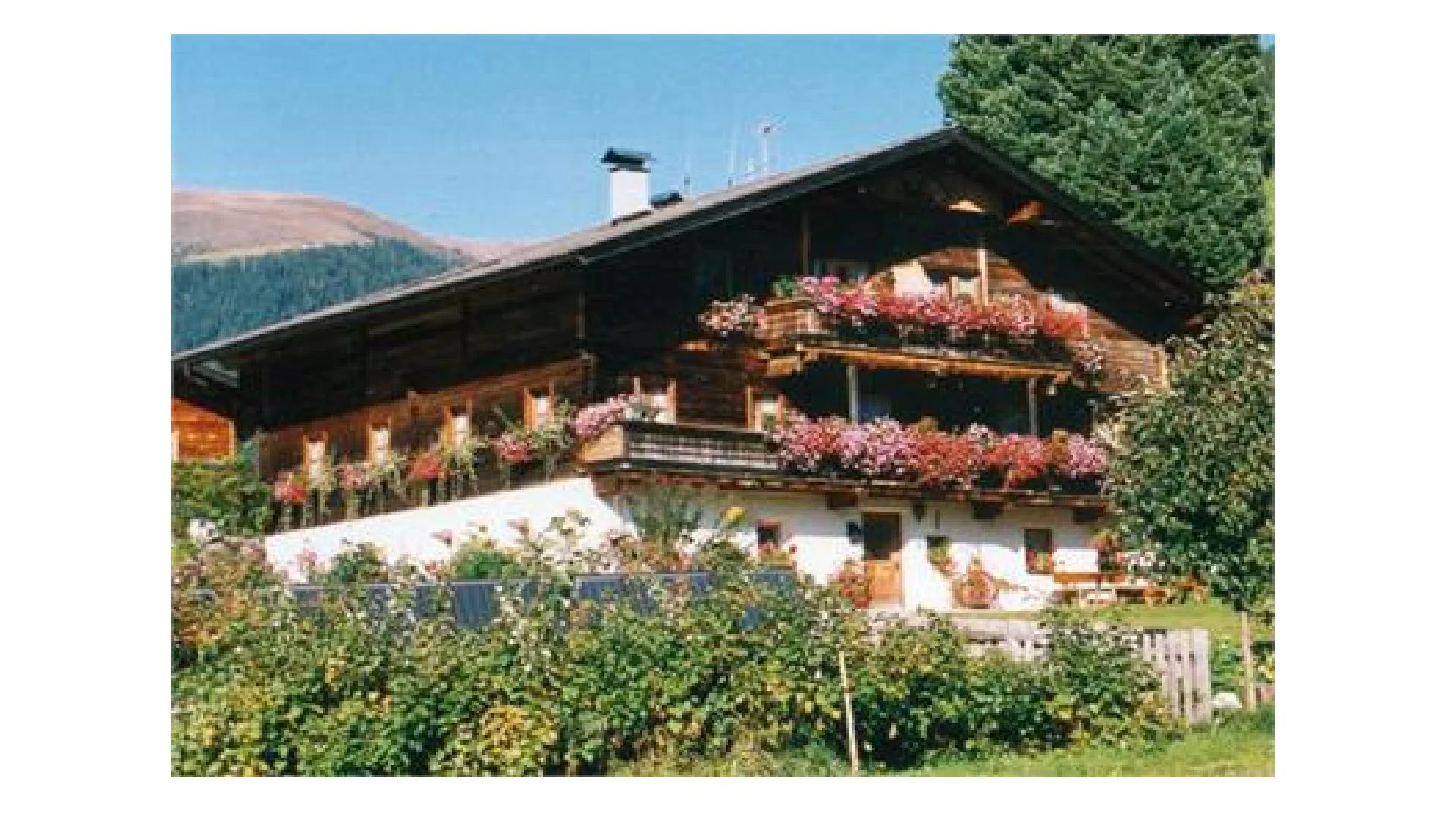 Oberweckerlerhof Valle di Casies 1 suedtirol.info