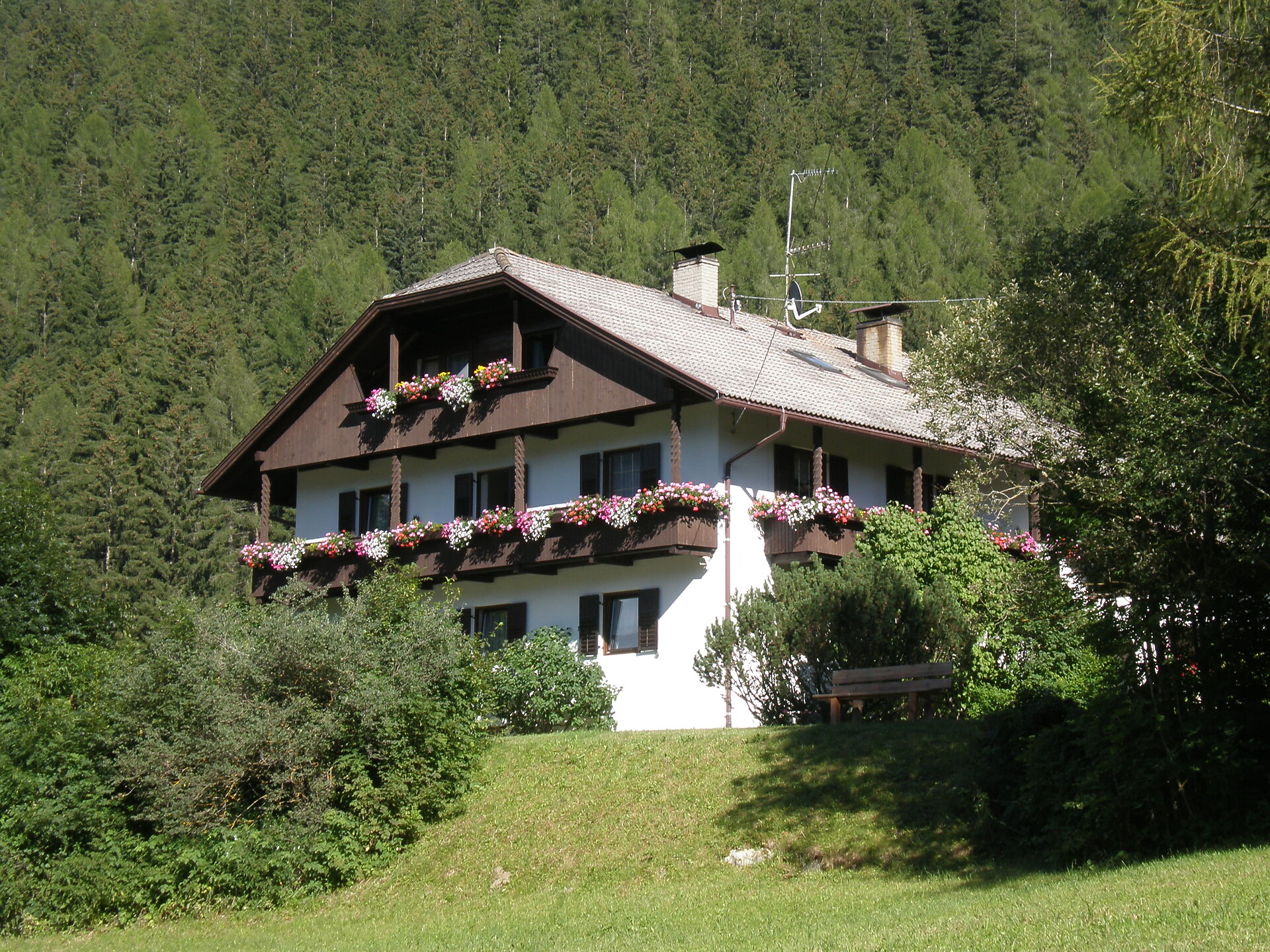 Sommer