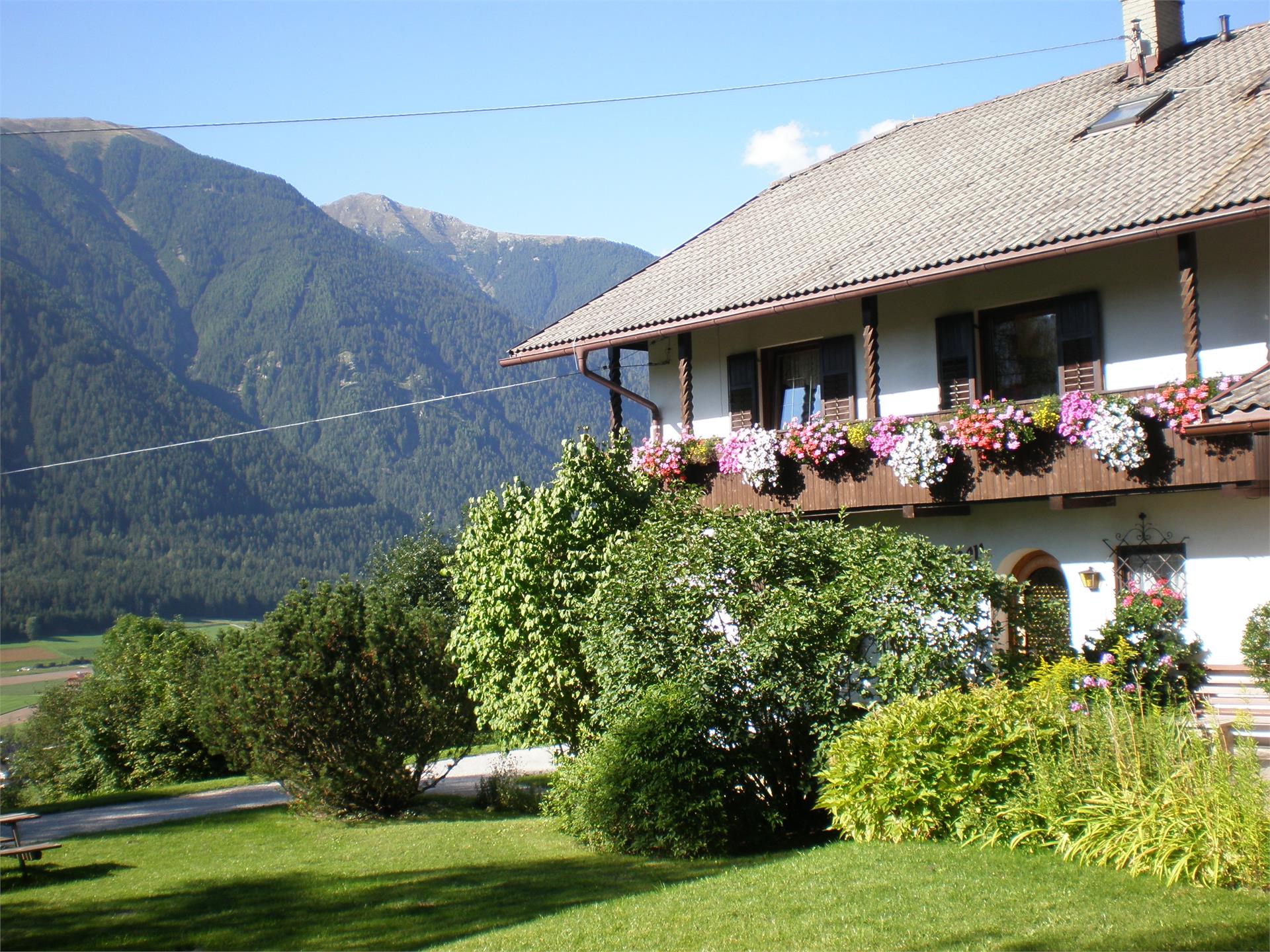 Oberlechnerhof Rasen-Antholz/Rasun Anterselva 1 suedtirol.info