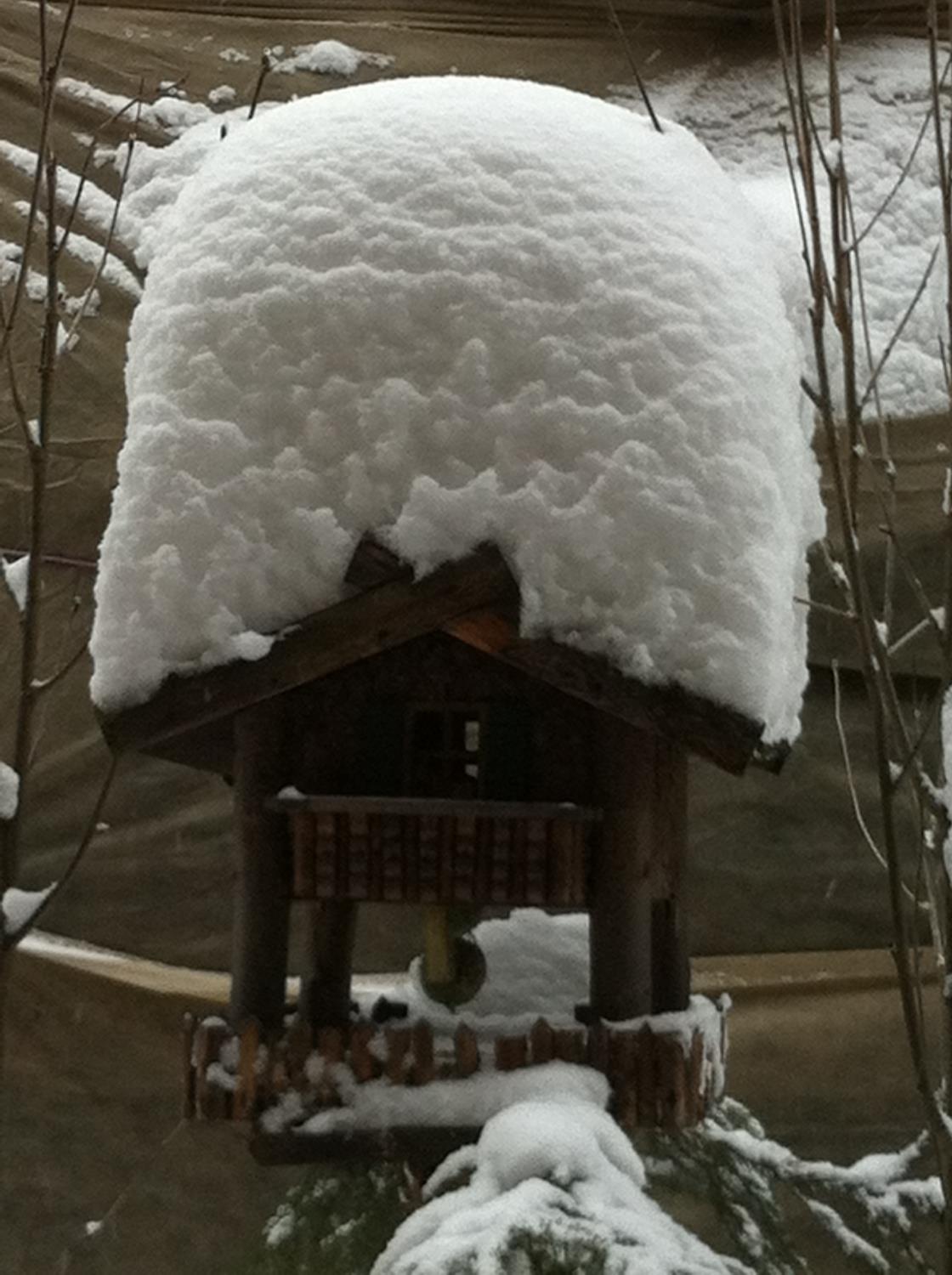 Oberleiter Pension Ahrntal 3 suedtirol.info
