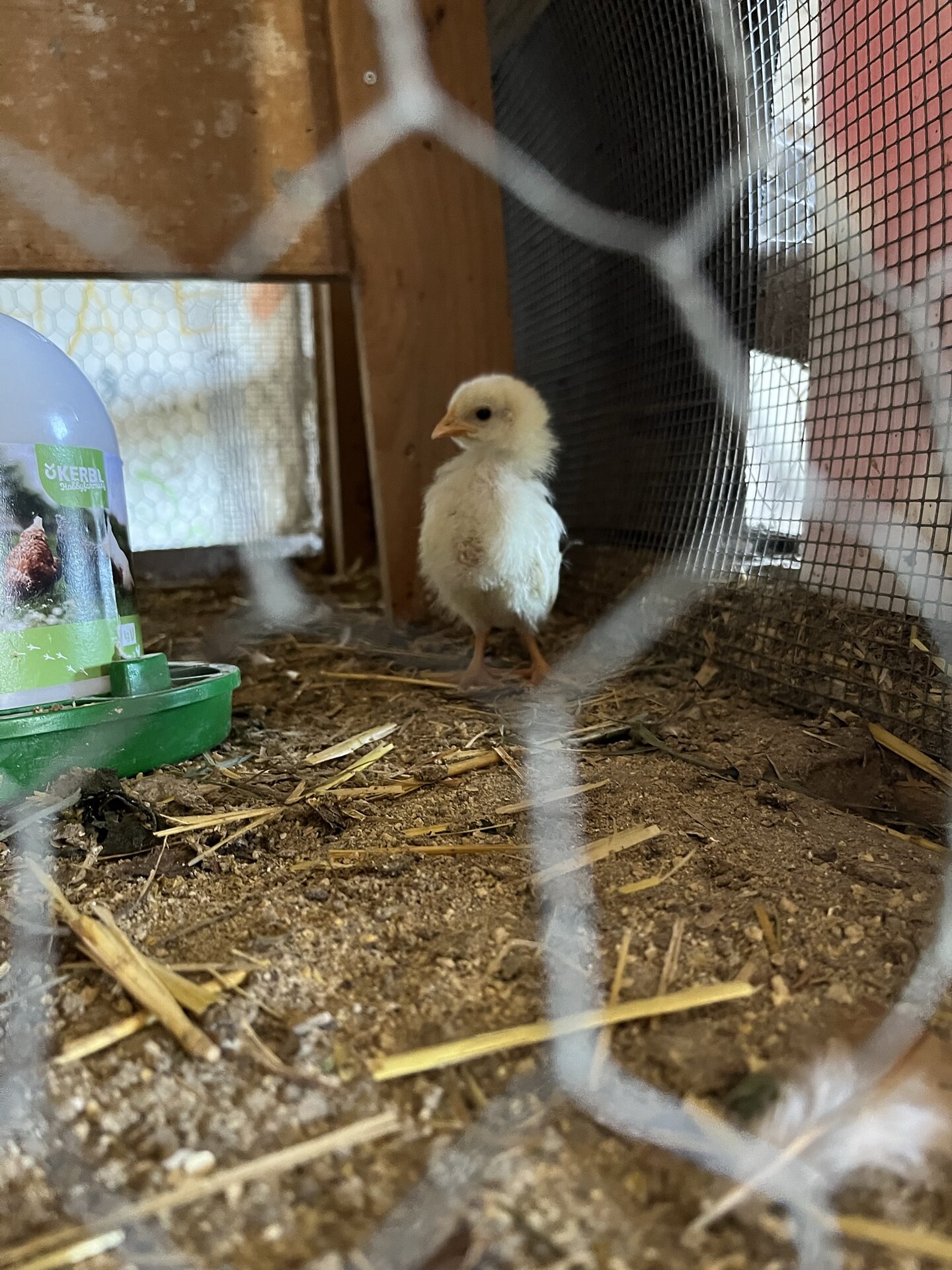 Farmlife