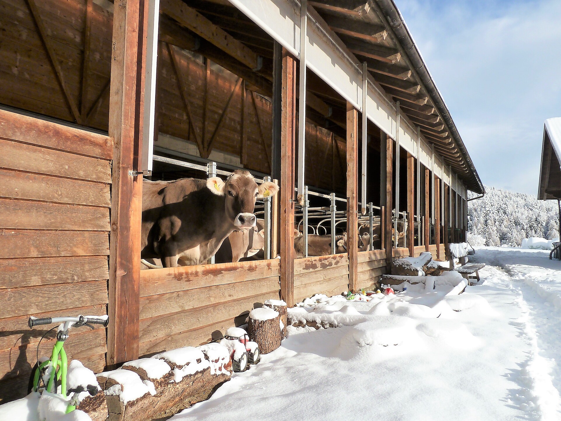 Wintersonne genießen
