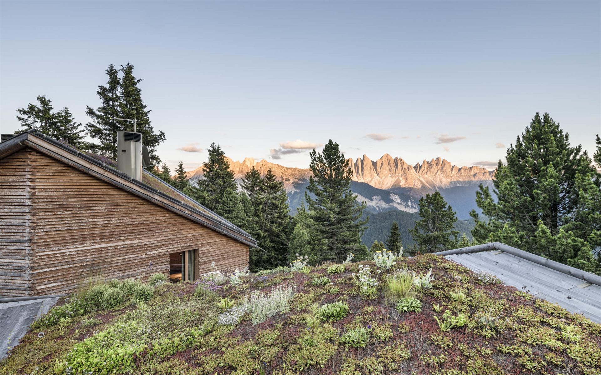 Odles Lodge Bressanone 7 suedtirol.info