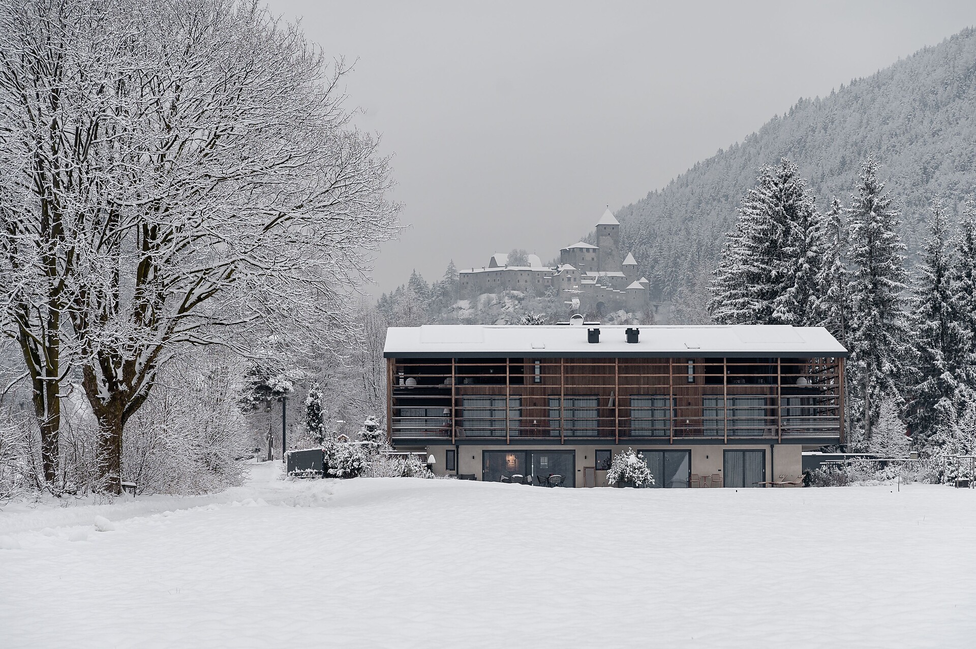 winter