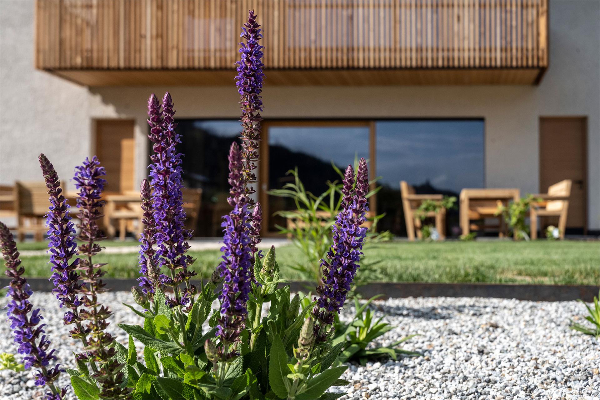 Oberfallerhof Barbian/Barbiano 24 suedtirol.info