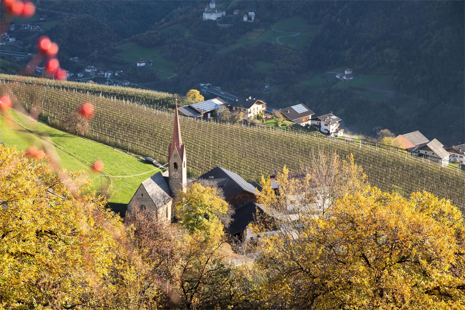 Oberfallerhof Barbian/Barbiano 15 suedtirol.info