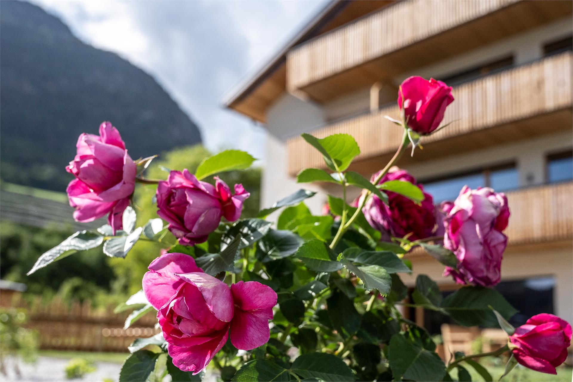 Oberfallerhof Barbian/Barbiano 25 suedtirol.info