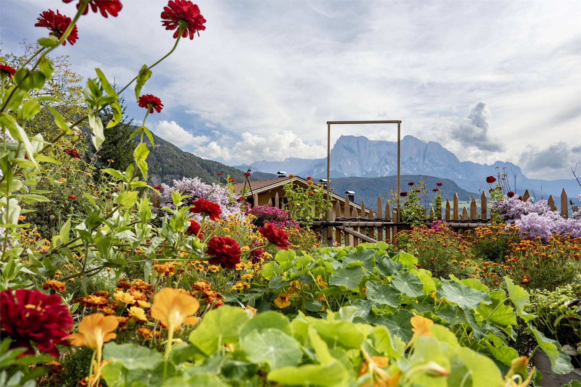 Oberfallerhof Barbian/Barbiano 29 suedtirol.info
