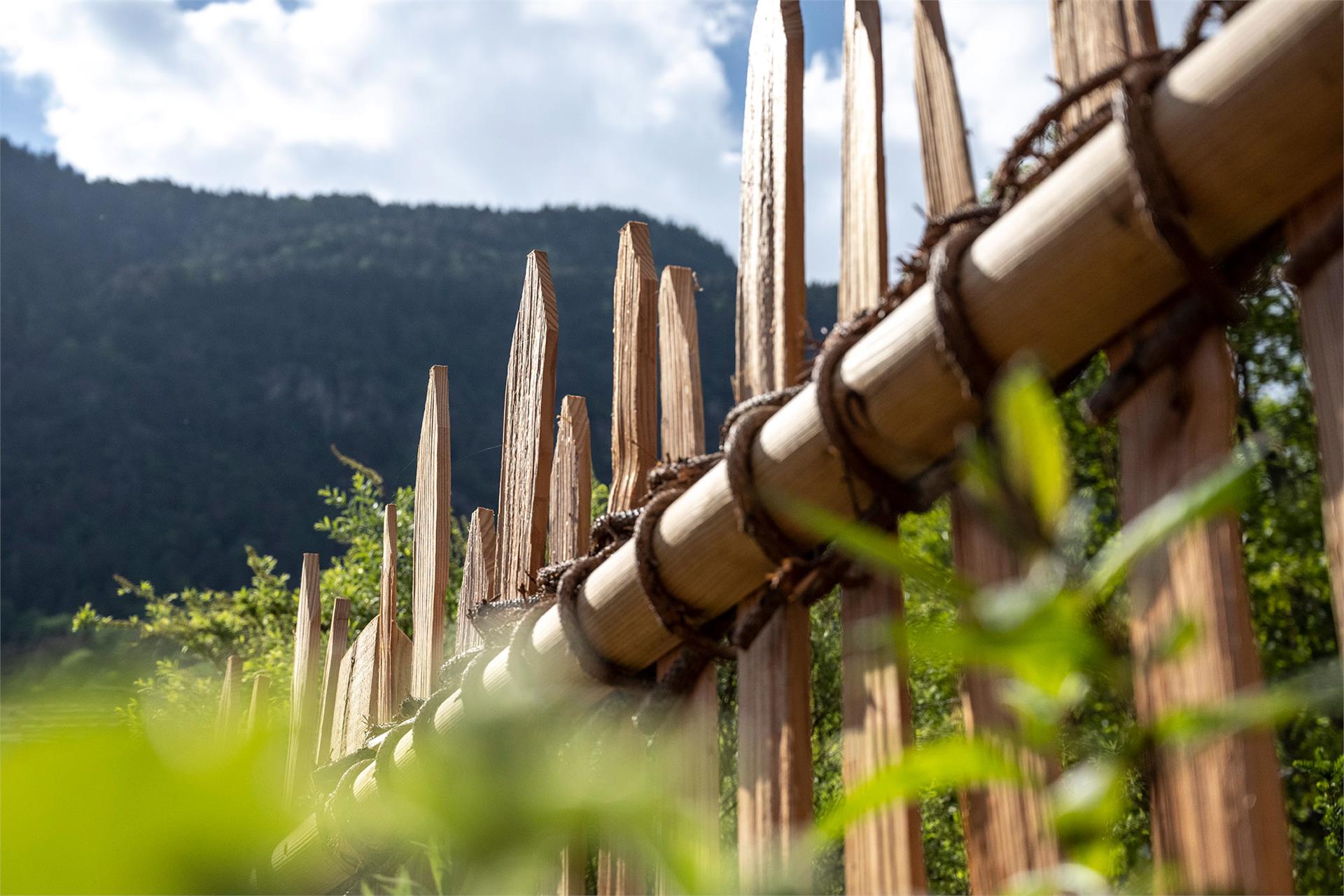 Oberfallerhof Barbian/Barbiano 23 suedtirol.info