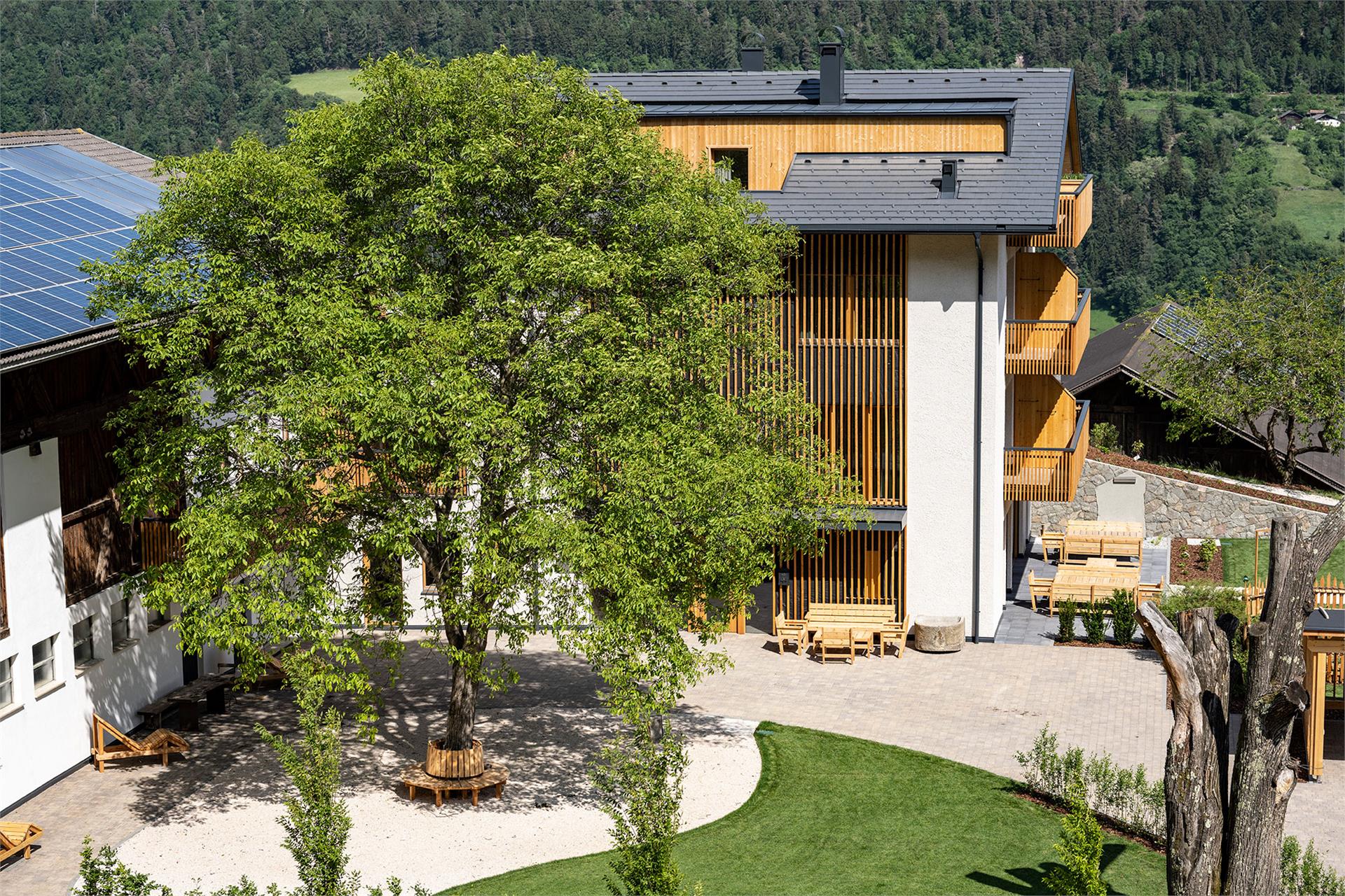 Oberfallerhof Barbian/Barbiano 26 suedtirol.info
